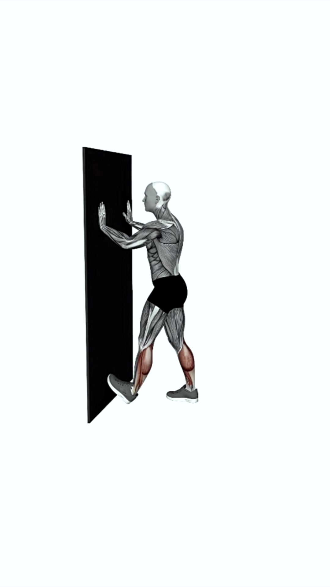 Calf Push Stretch With Hands Against Wall