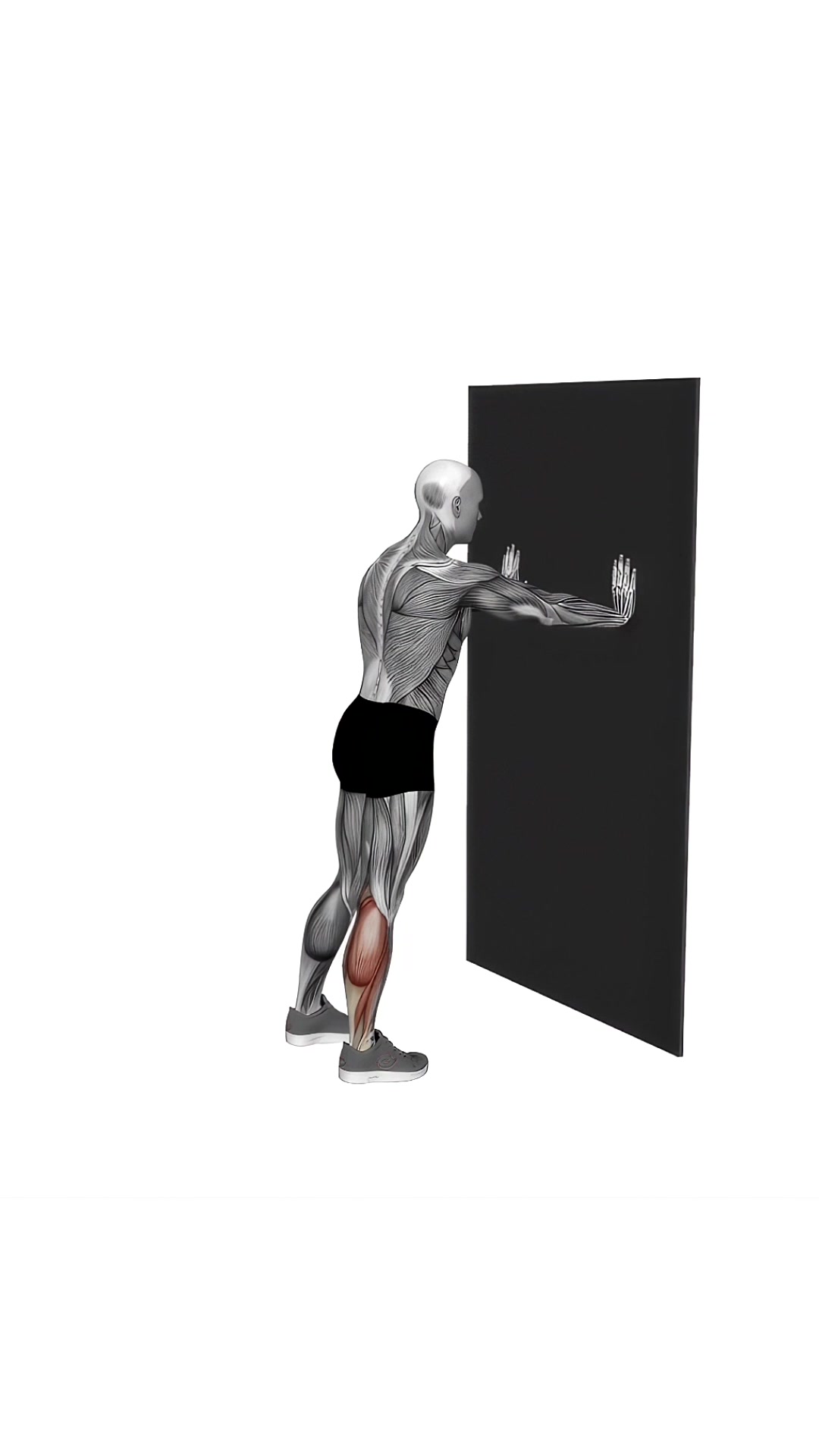 Calf Stretch With Hands Against Wall