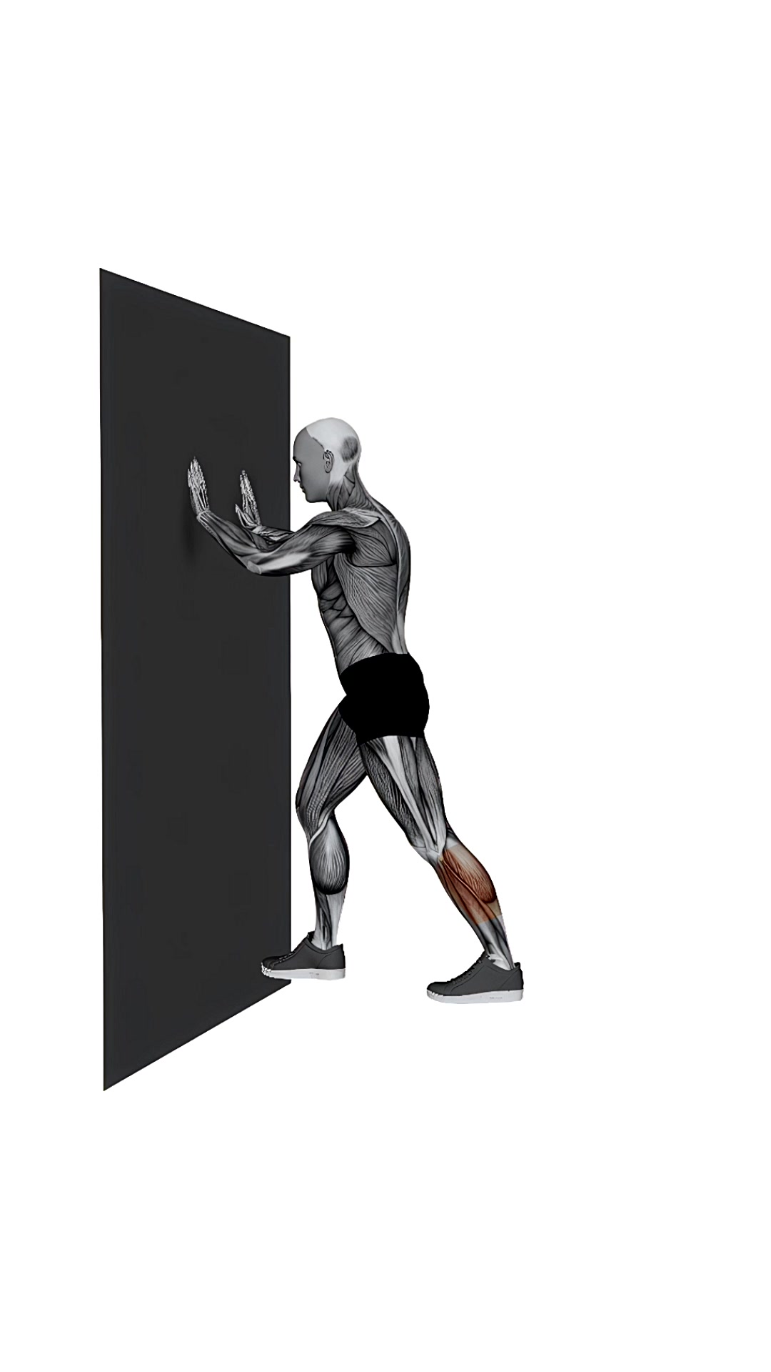 Calve Stretch From Wall To Floor