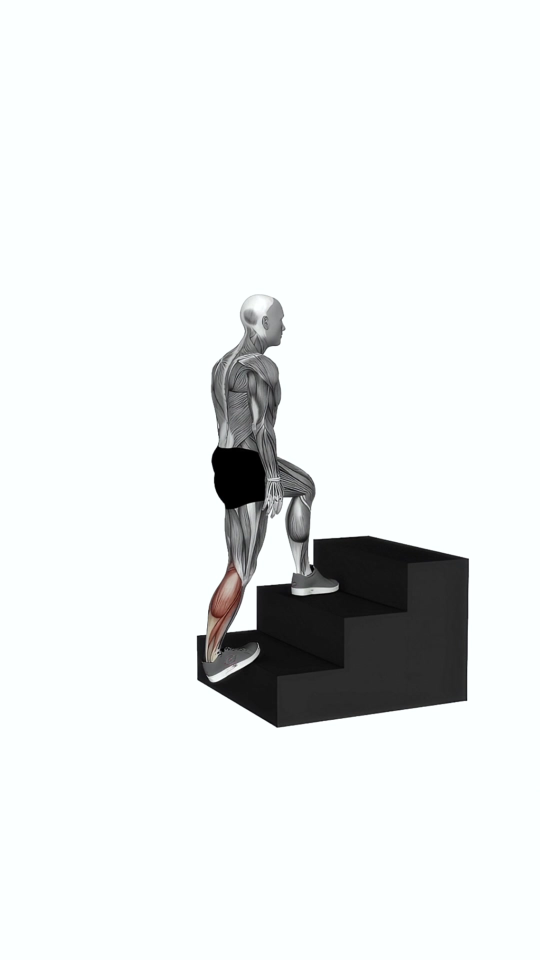 Calves Stretch On Stairs