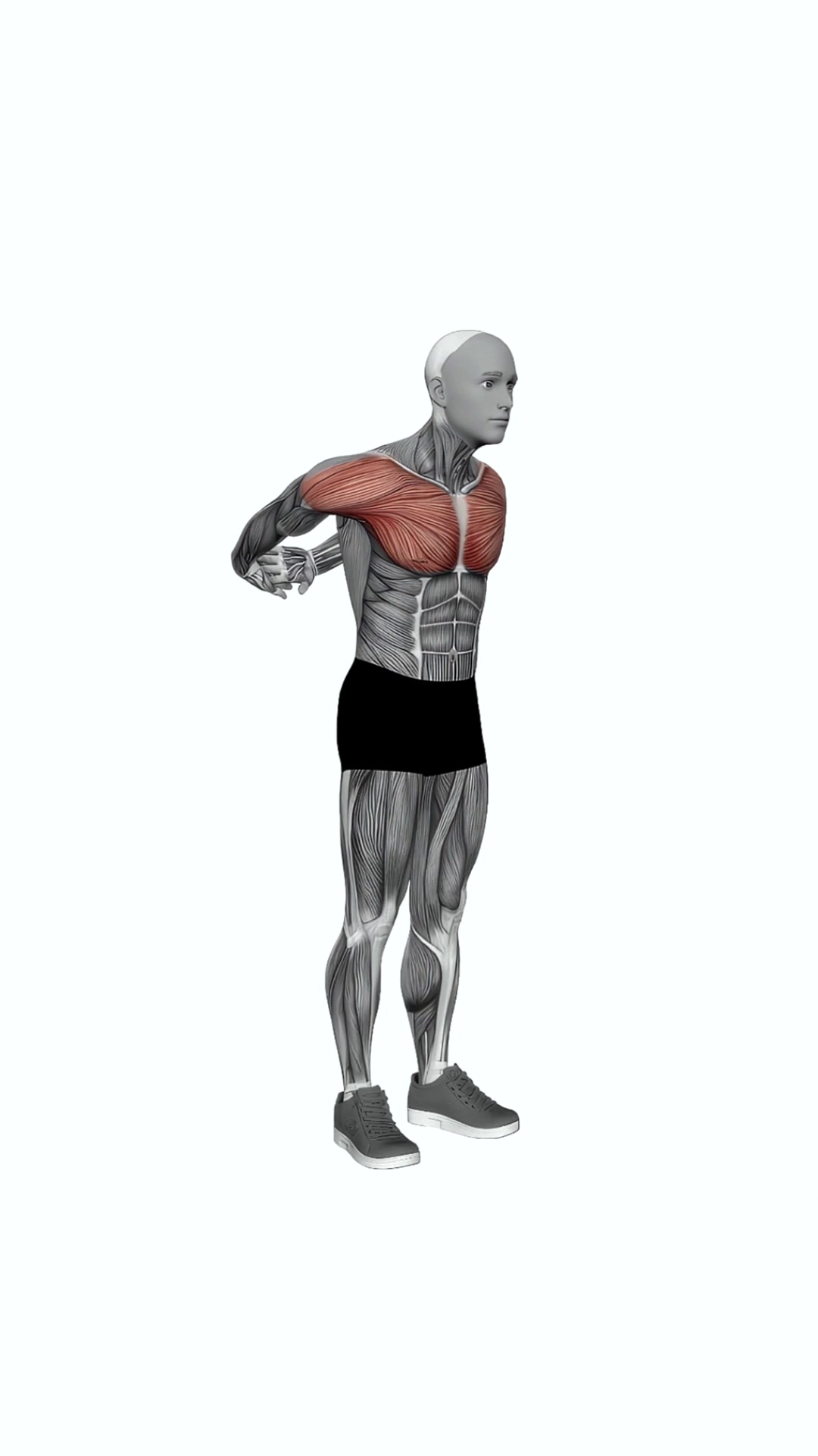 Chest Out Hands Behind (hold)