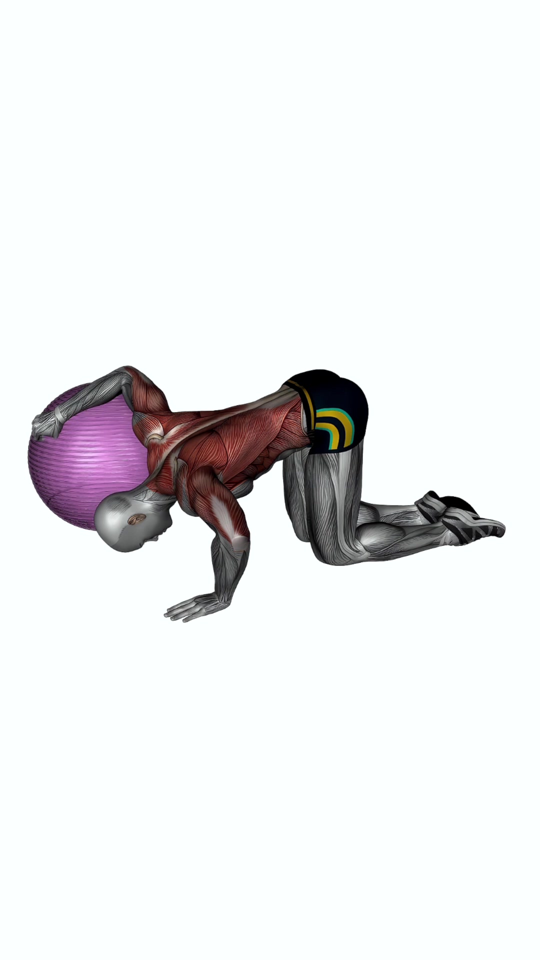 Chest Stretch With Exercise Ball