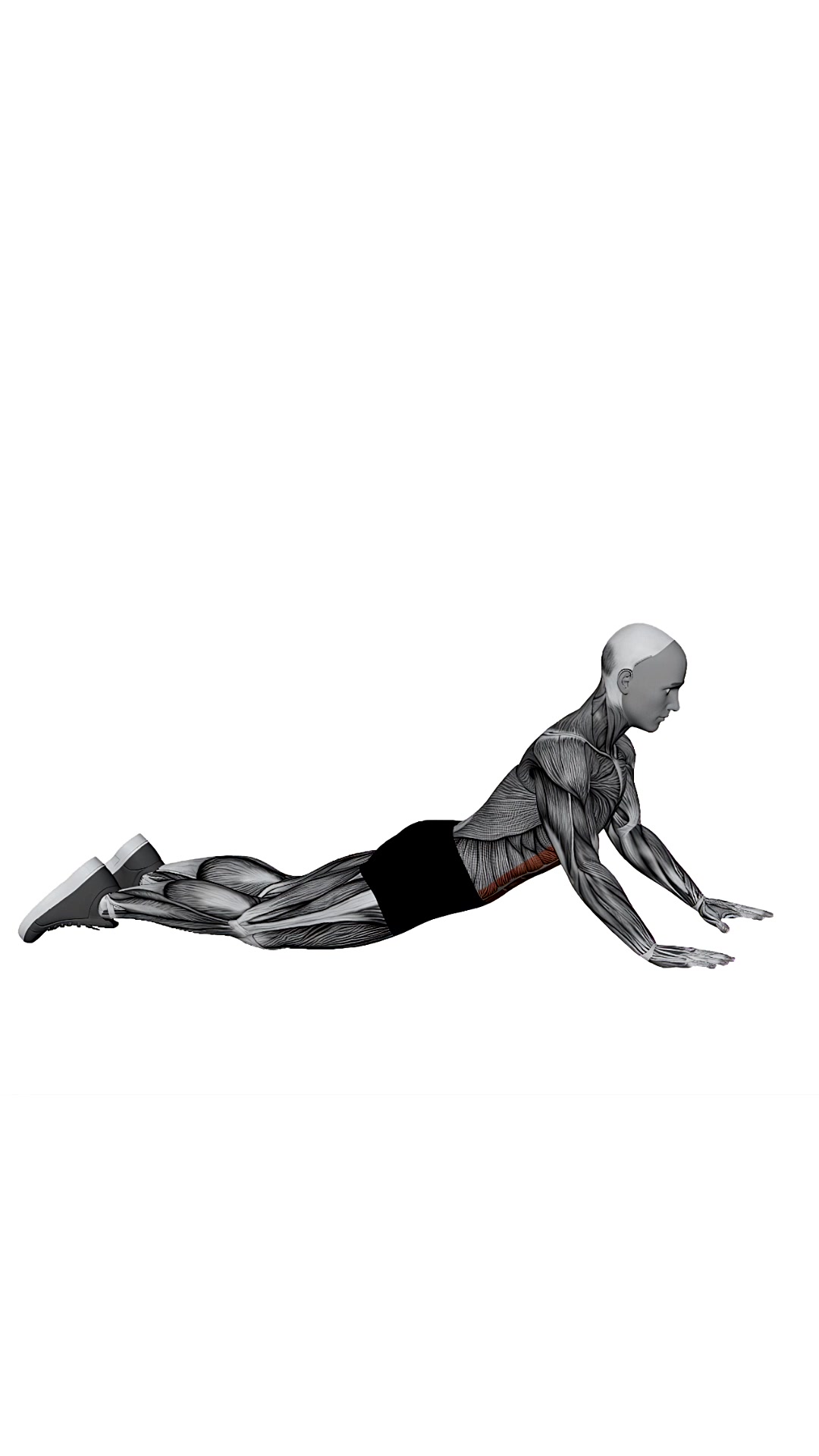 Cobra Stretch