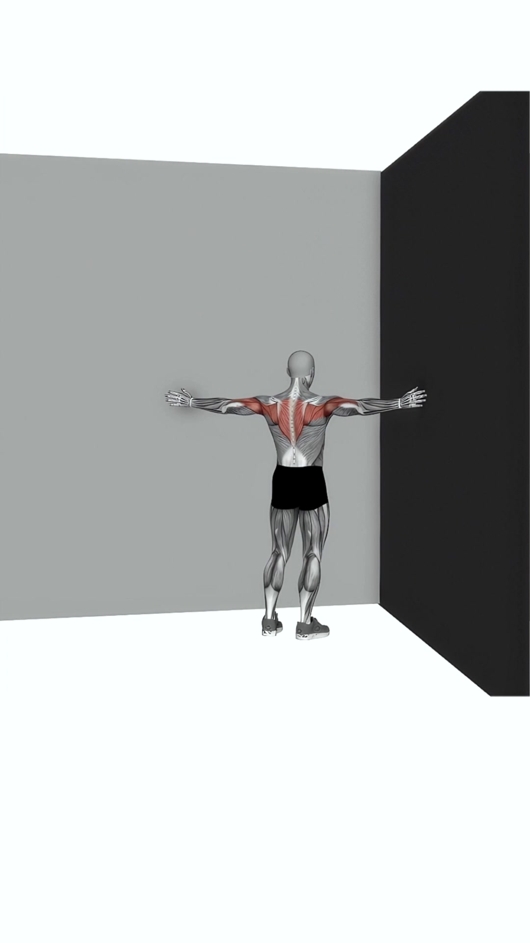 Corner Wall Chest Stretch