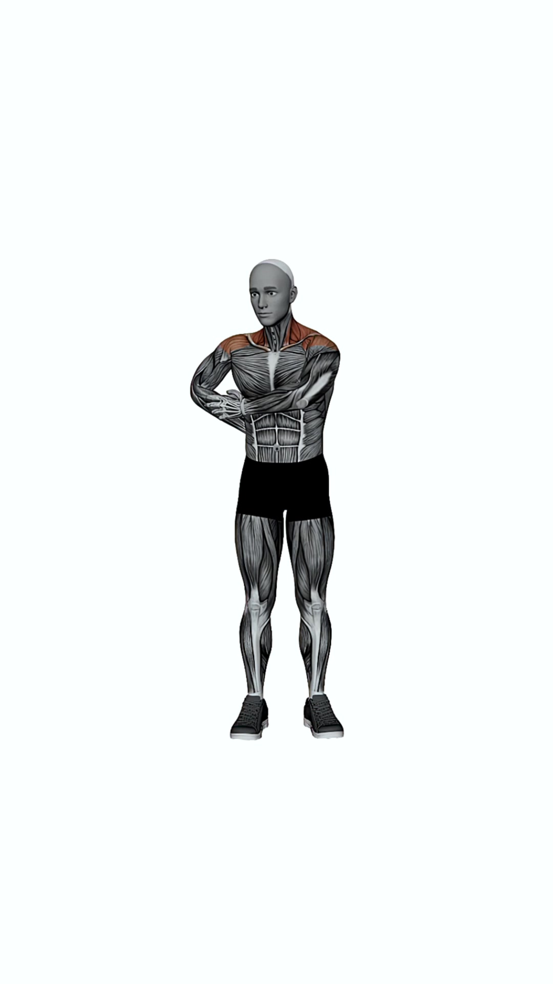 Cross Body Elbow Pull Shoulder Stretch