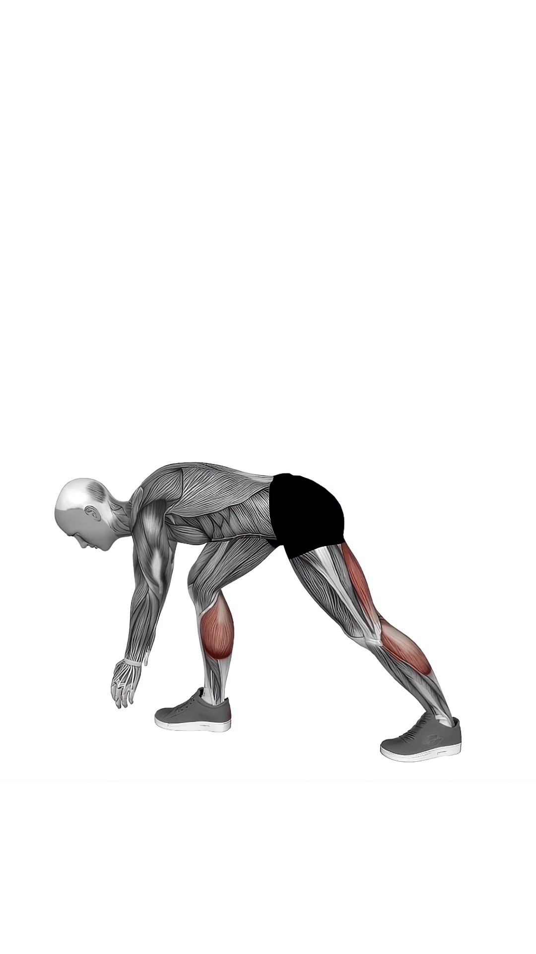 Crouching Heel Back Calf Stretch