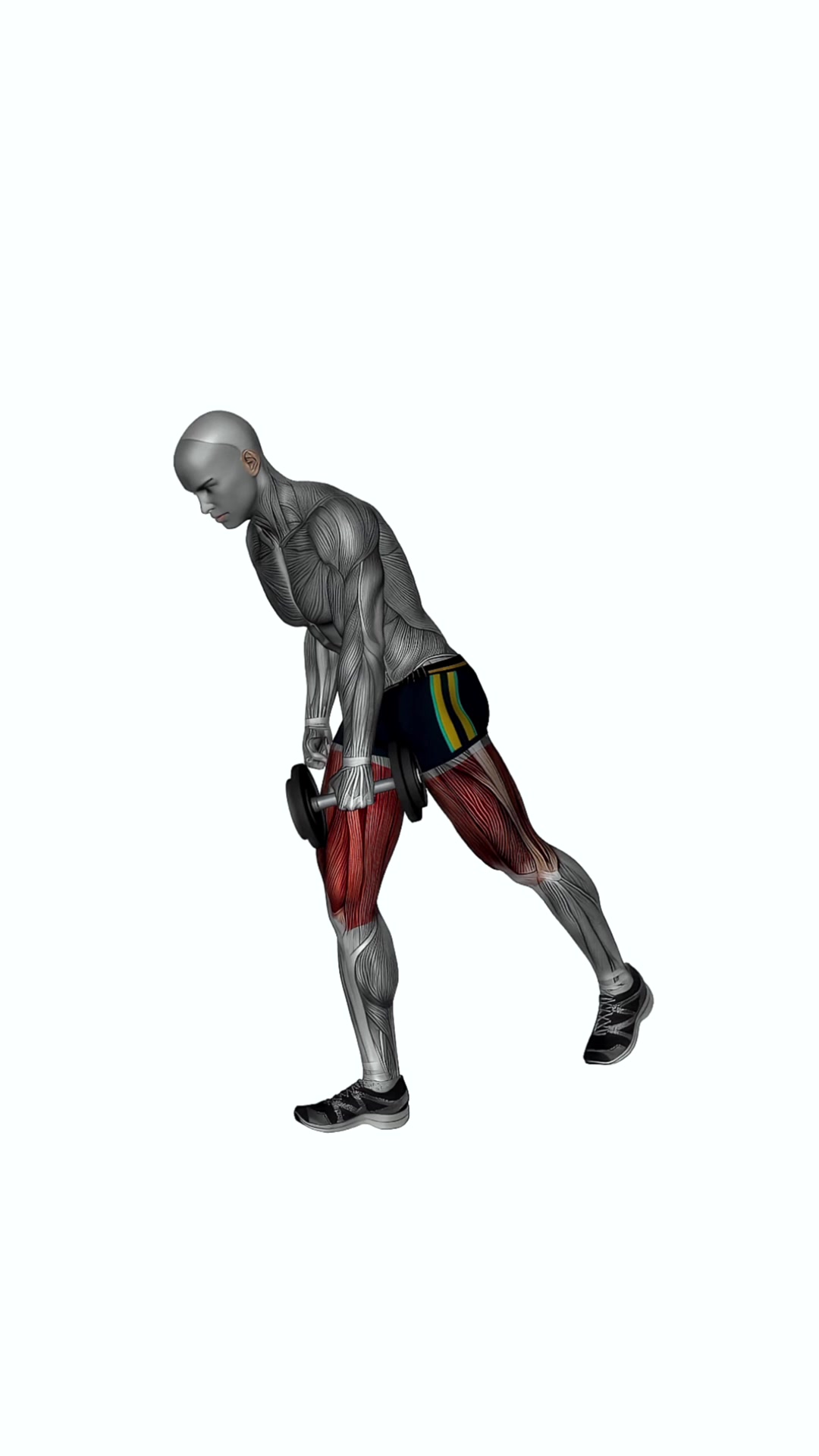 Dumbbell Rdl Stretch Isometric