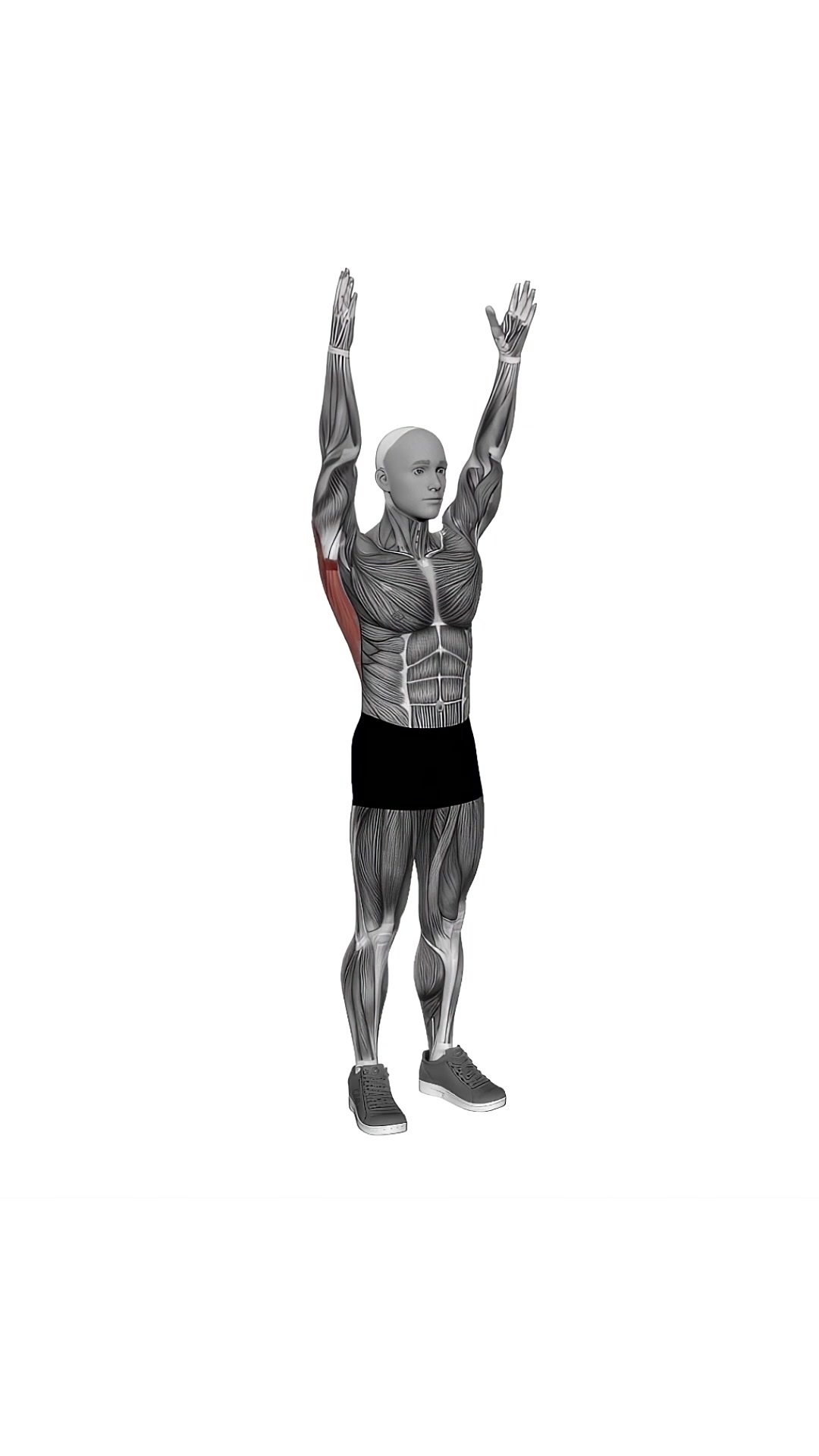 Dynamic Back Stretch