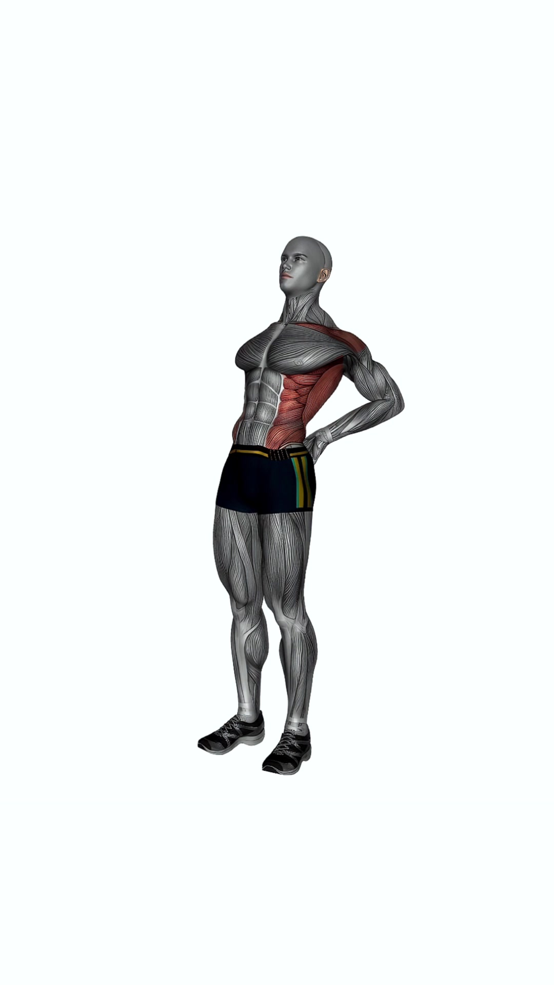 Elbow Back Stretch