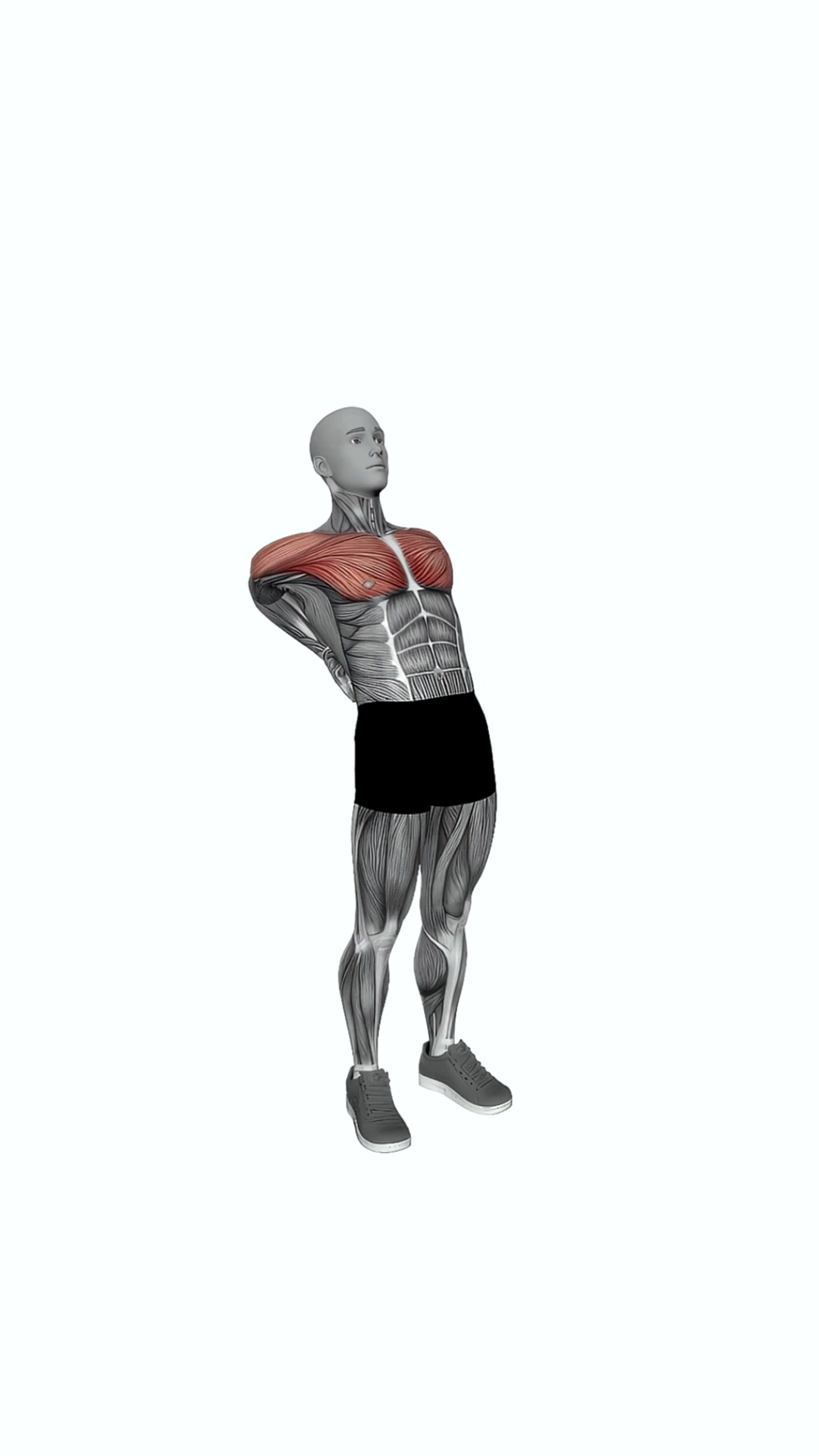 Elbows Back Stretch