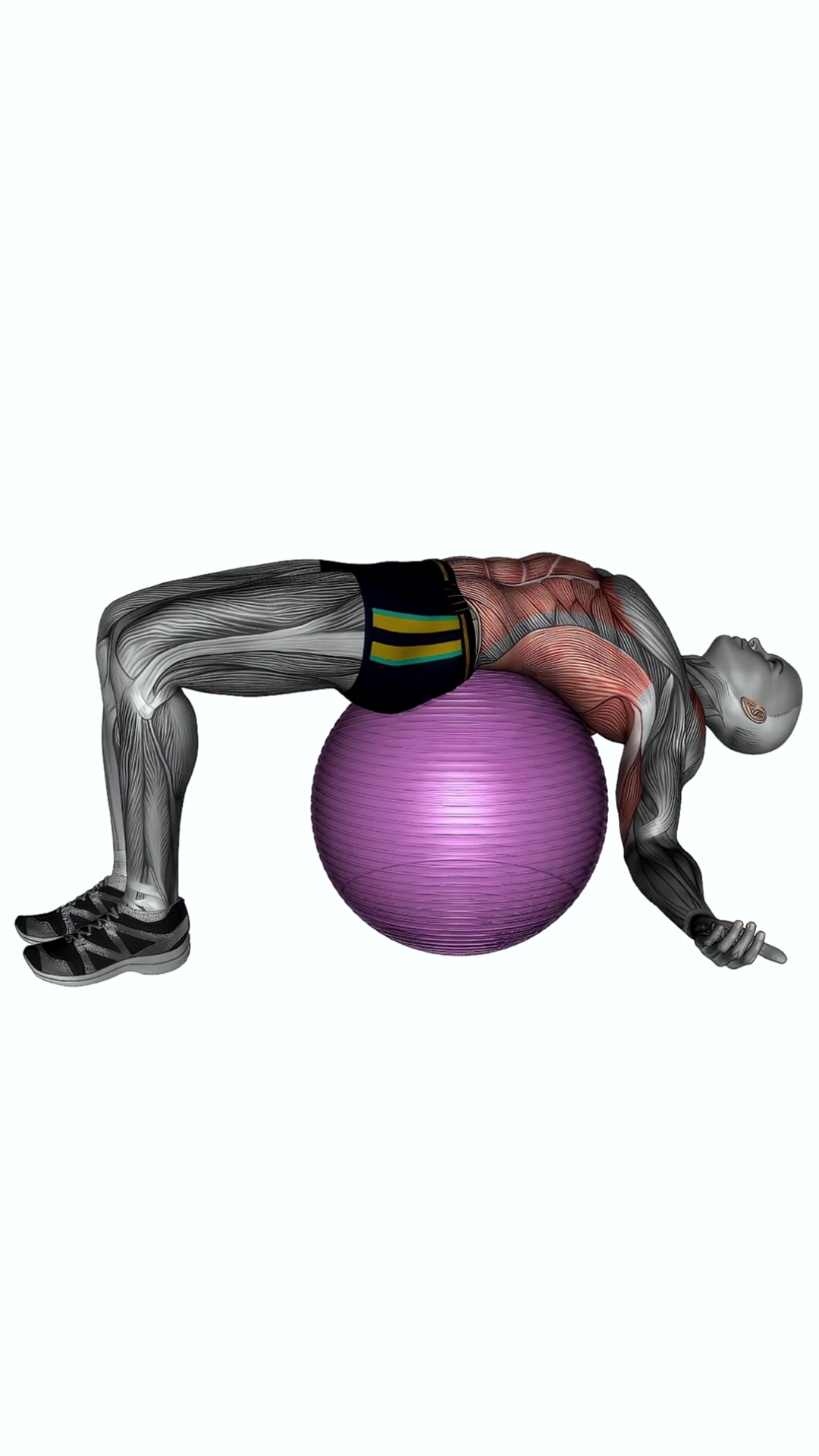 Exercise Ball Back Stretch