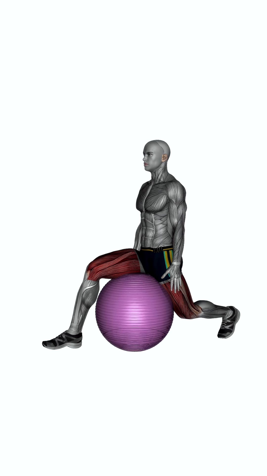 Exercise Ball Hip Flexor Stretch