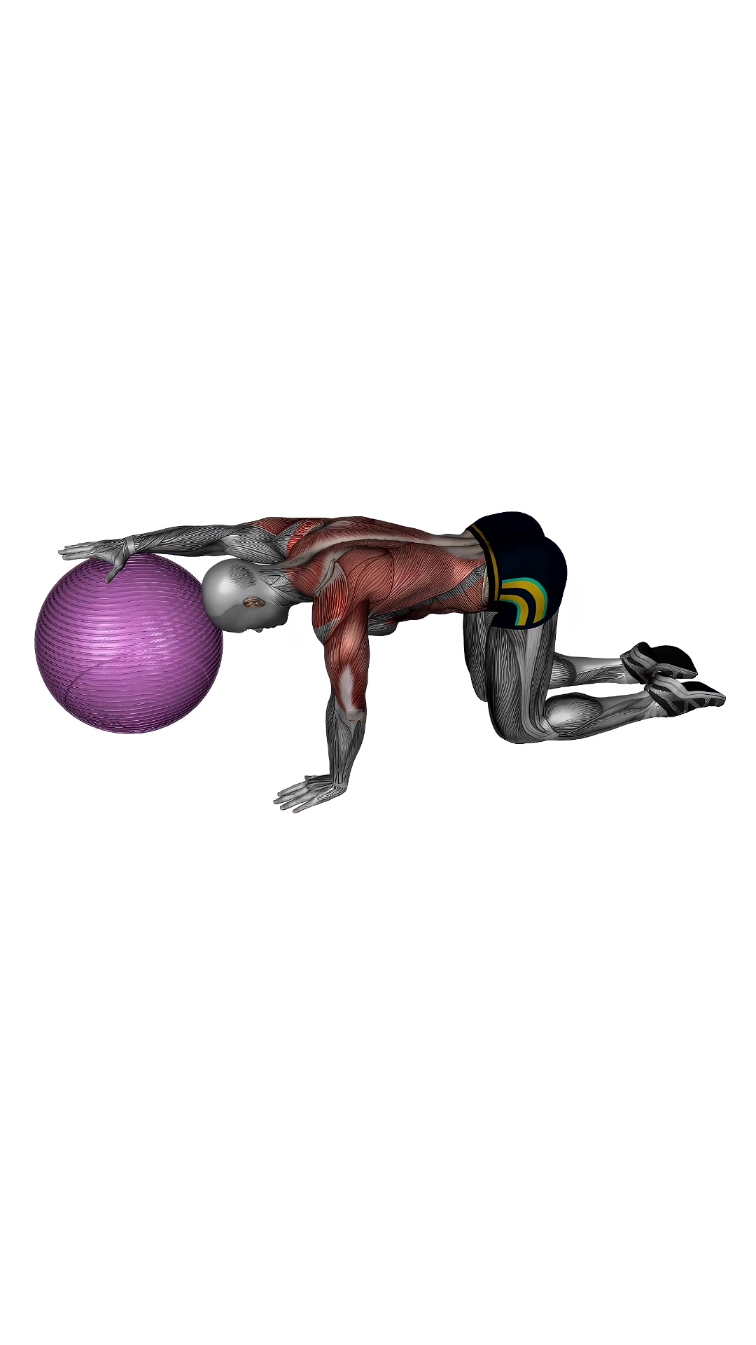 Exercise Ball Lat Stretch