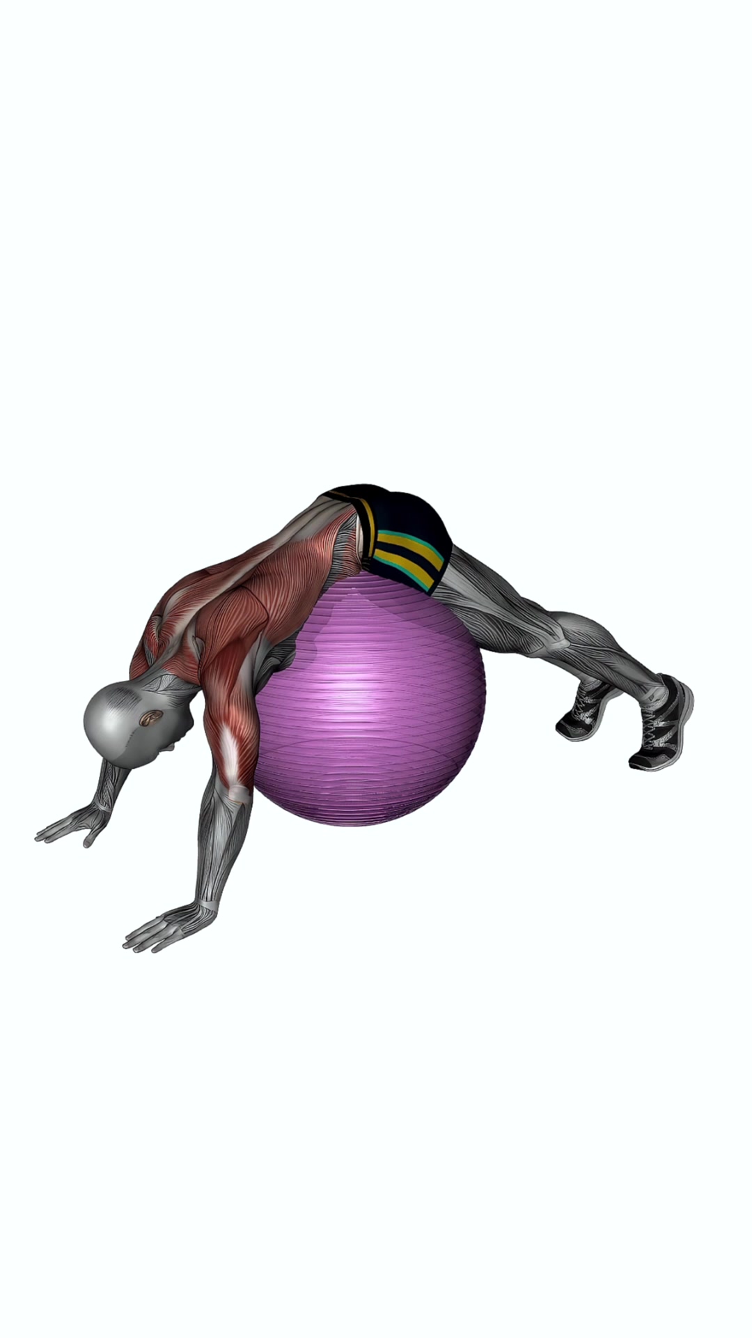 Exercise Ball Lower Back Dynamic Stretch