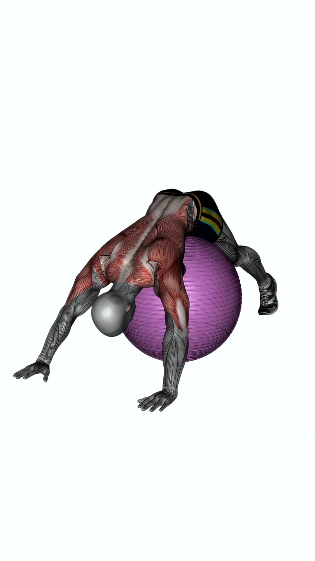 Exercise Ball Lower Back Prone Stretch