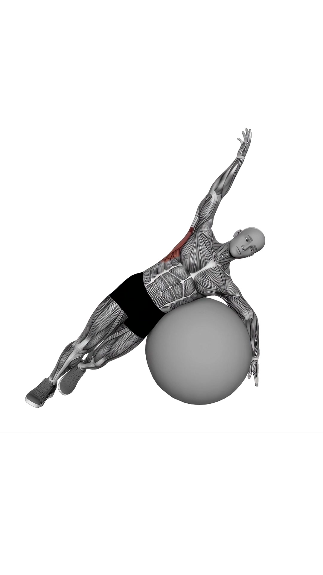 Exercise Ball Lying Side Lat Stretch V.2
