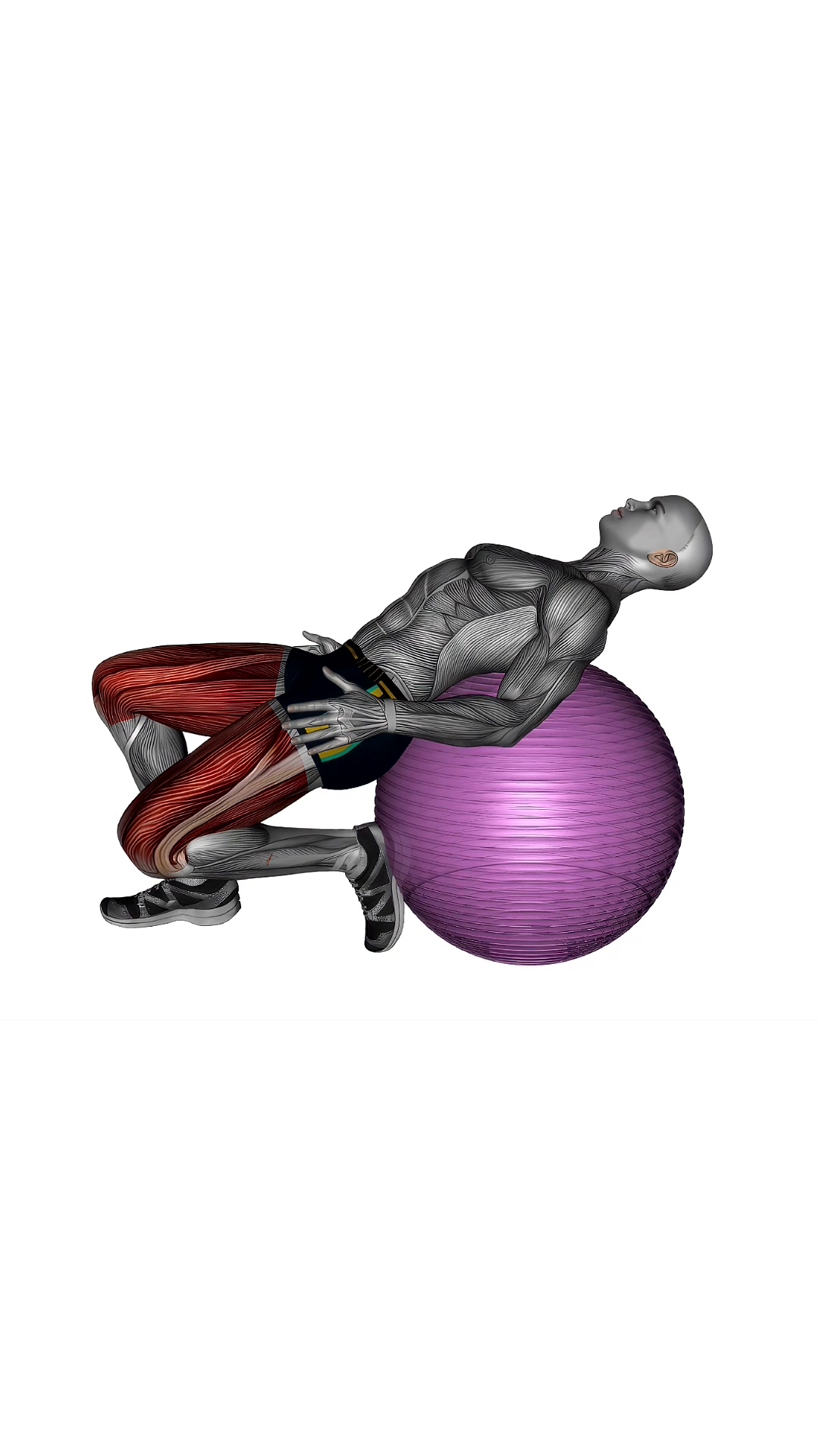 Exercise Ball Seated Quad Stretch
