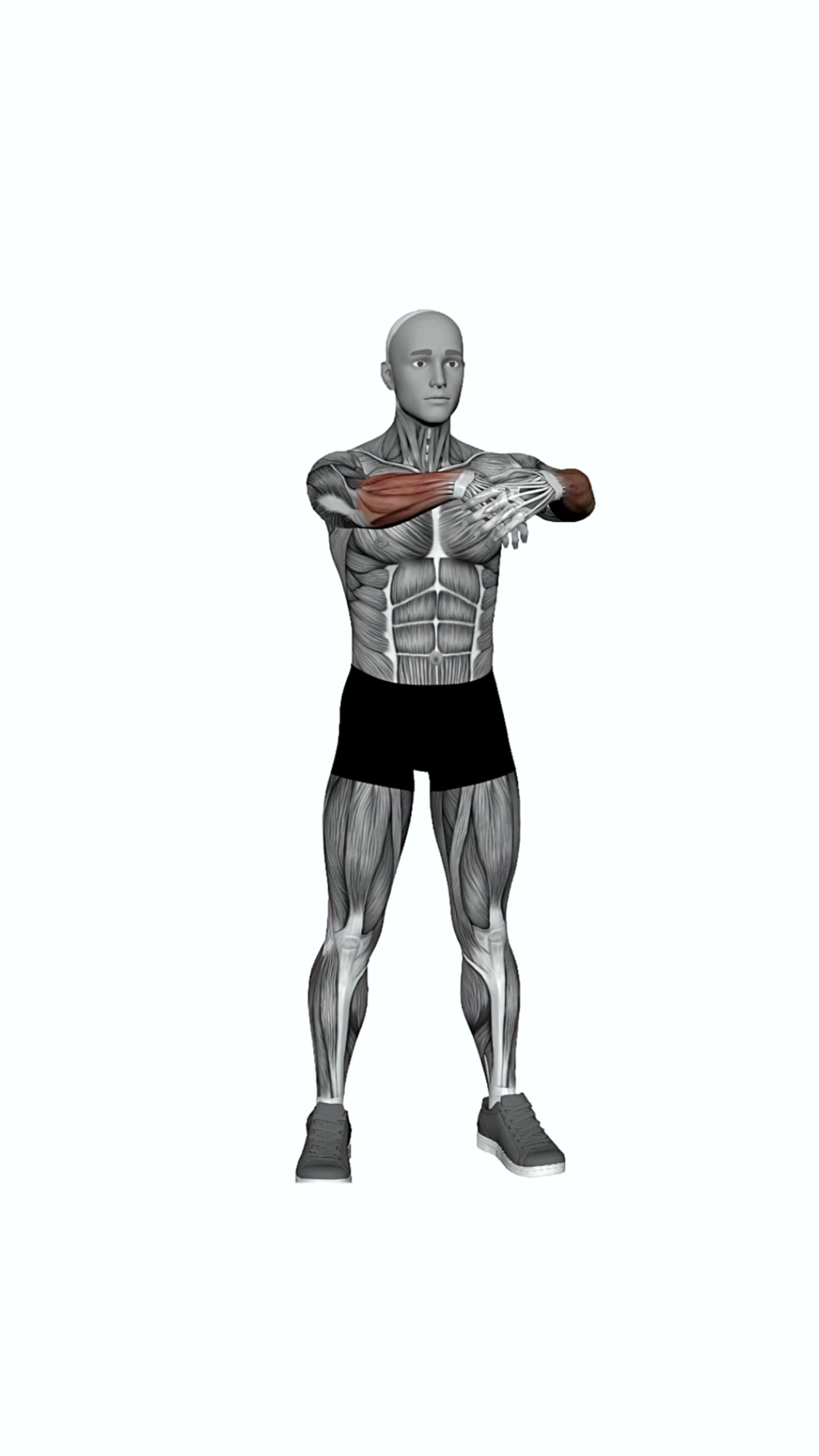 Forearms Pull With Opposite Hand Stretch