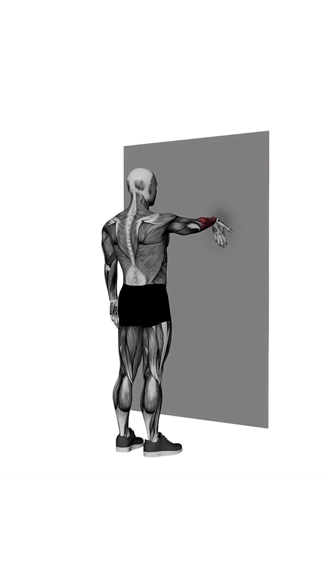 Forearms Stretch On Wall Fingers Facing Down