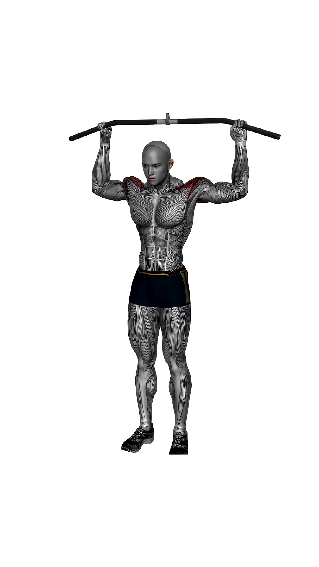 Front Shoulder Stretch With Bar