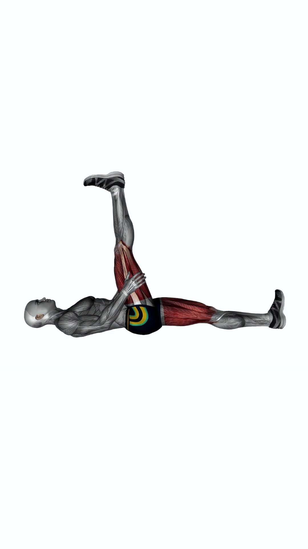 Hamstring Lying Curl Up Stretch
