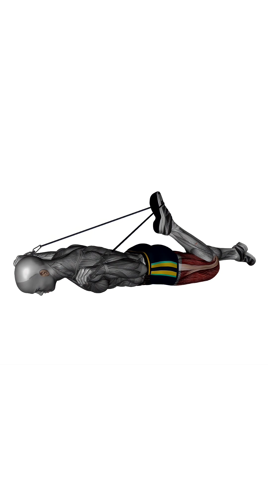 Intermediate Hip Flexor And Quad Stretch