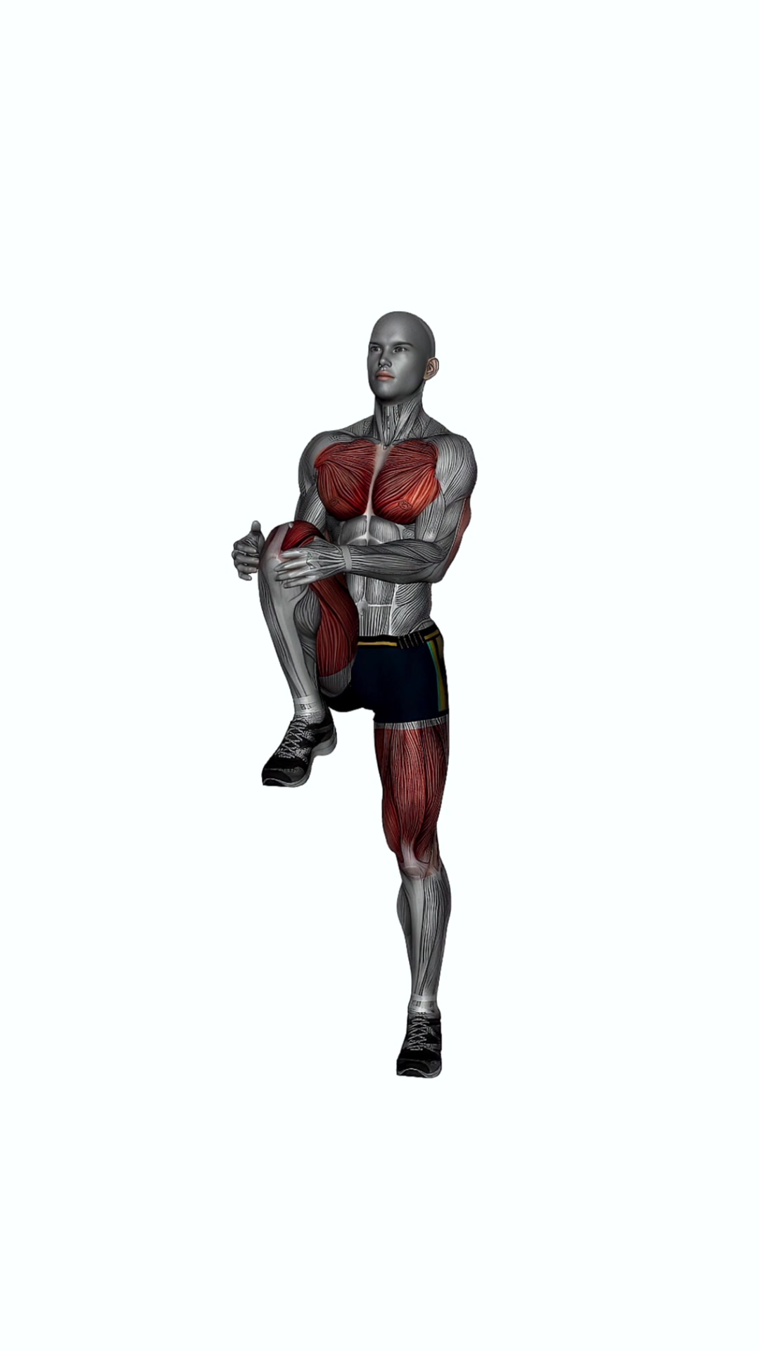 Knee To Chest Stretch