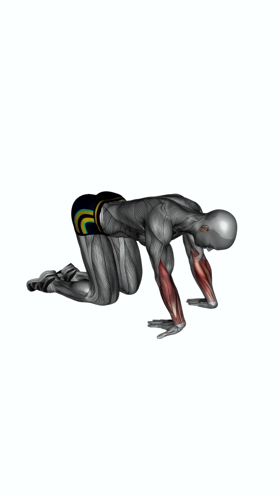 Kneeling Wrist Flexor Stretch