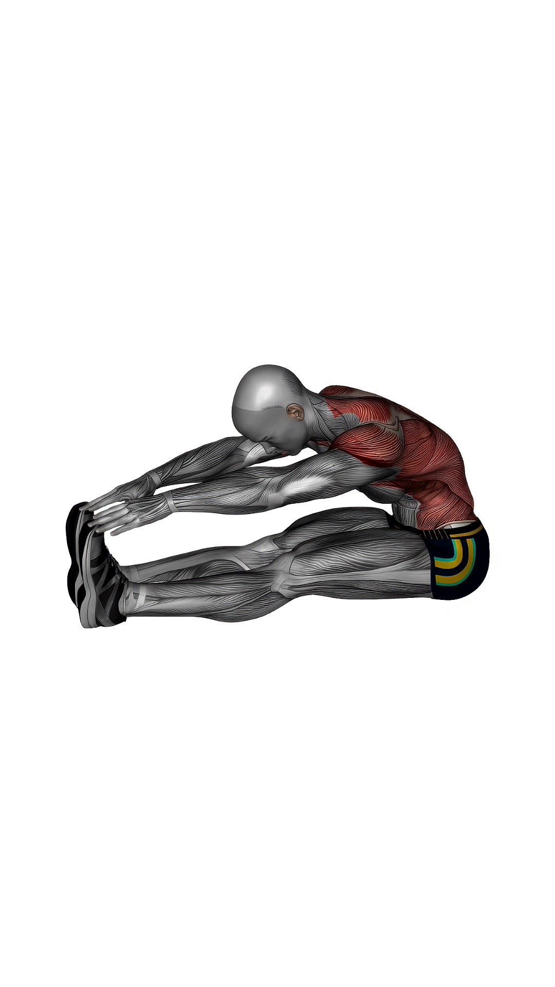 Legs Hand Reach Spine Stretch