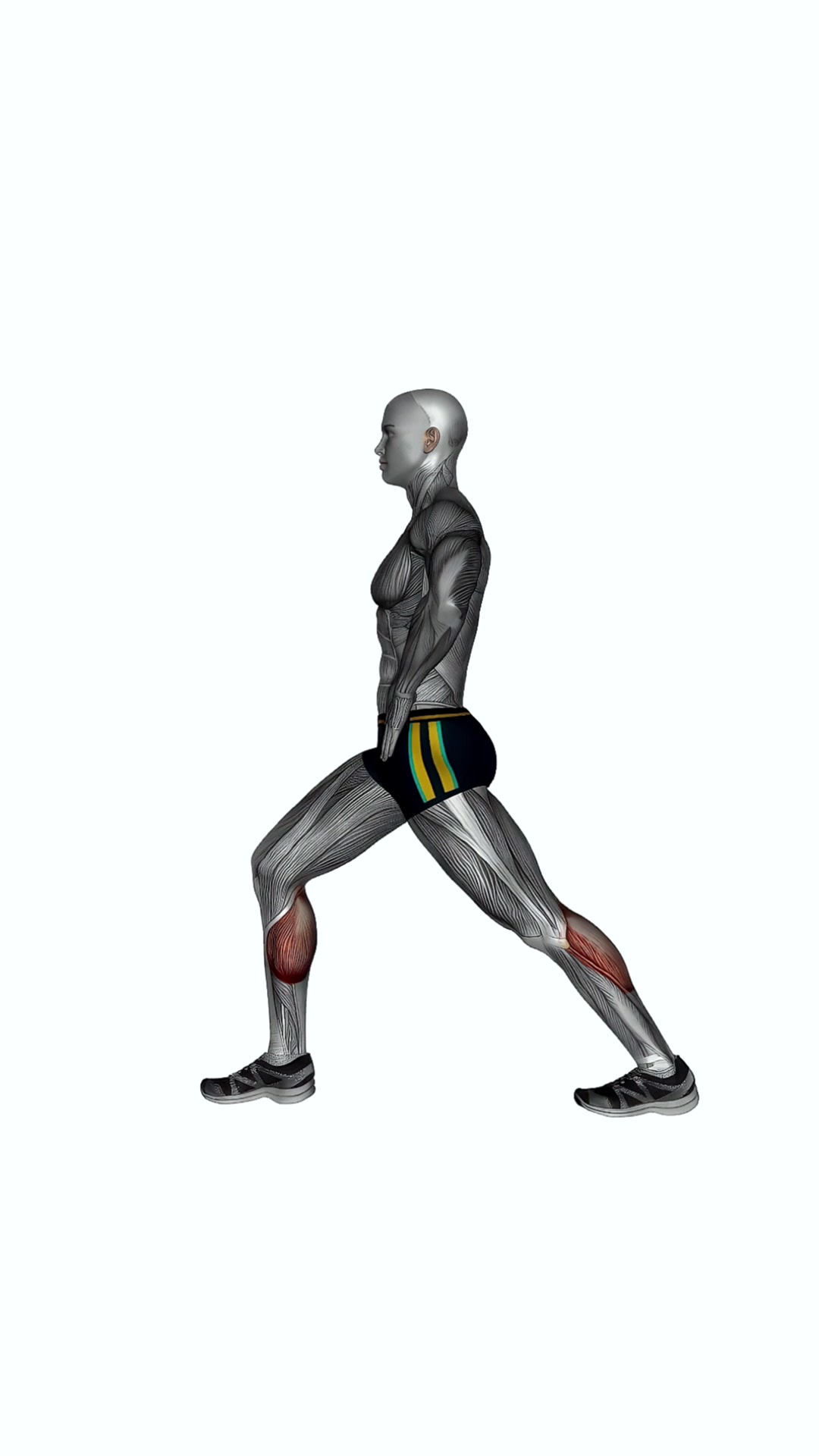 Lunging Straight Leg Calf Stretch