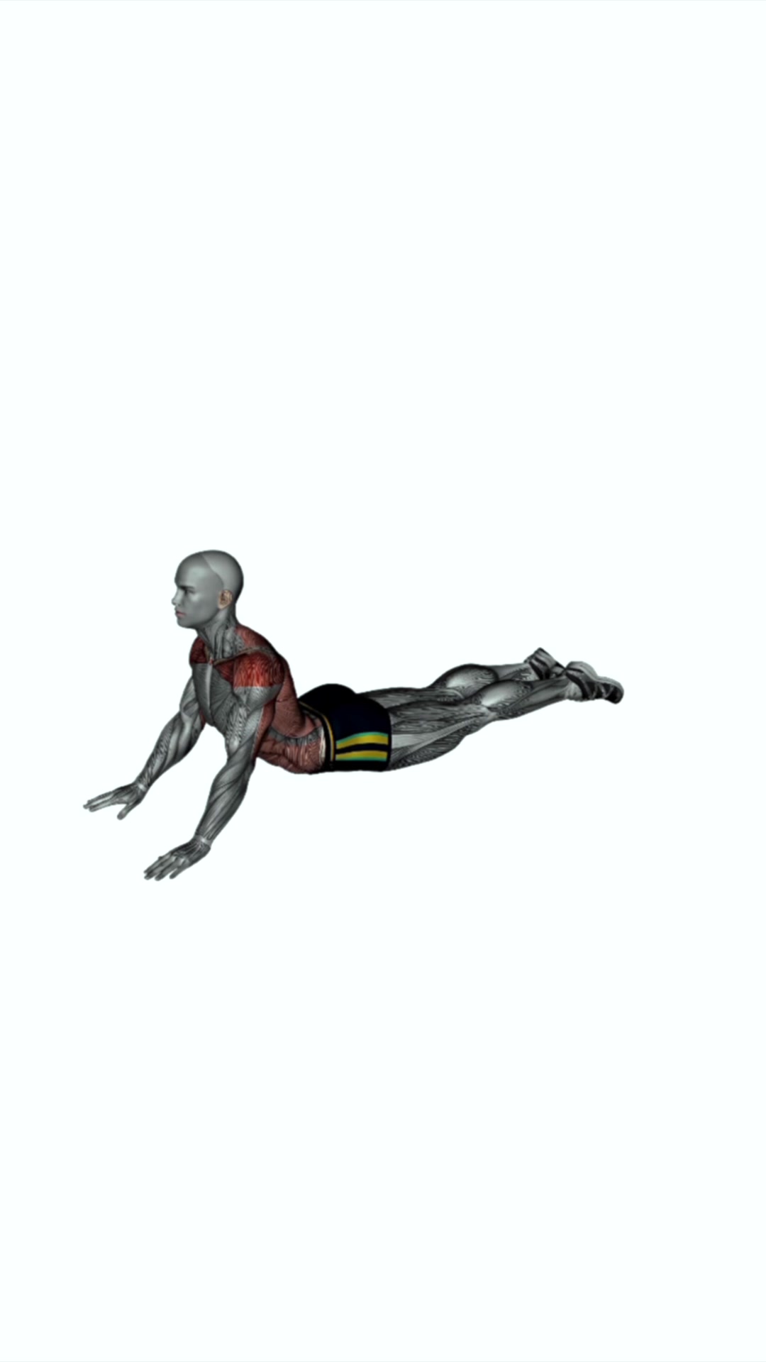 Lying (prone) Abdomen Stretch