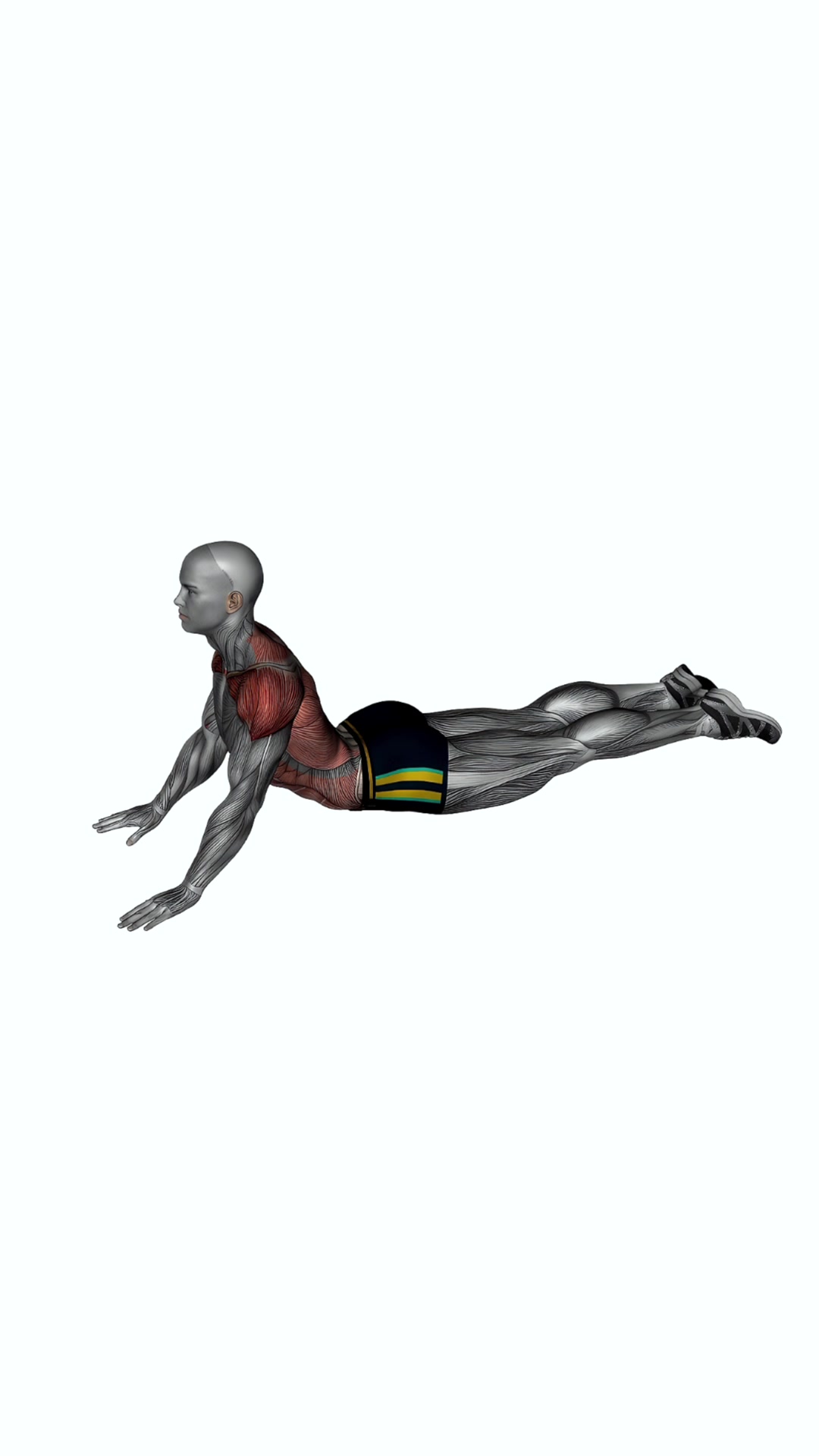 Lying (prone) Abdominal Stretch