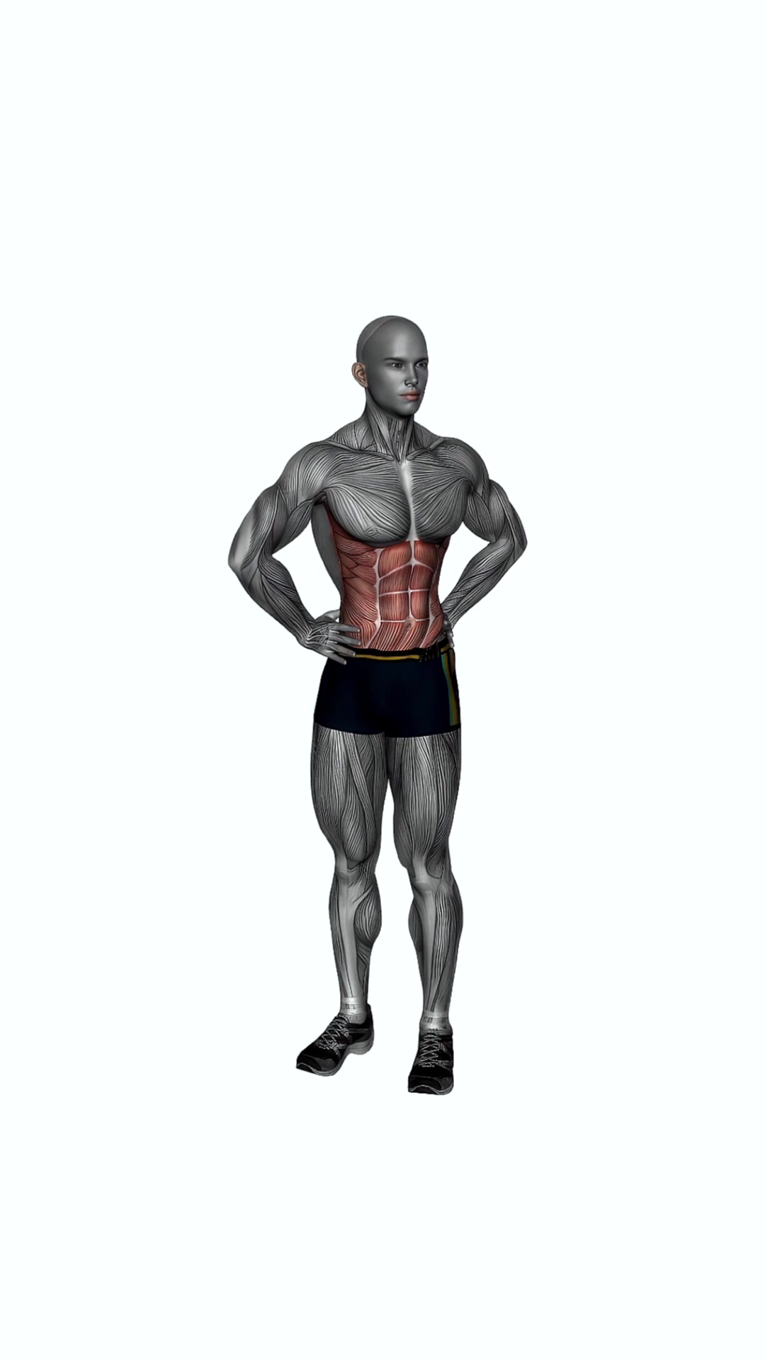 Middle Back Rotation Stretch