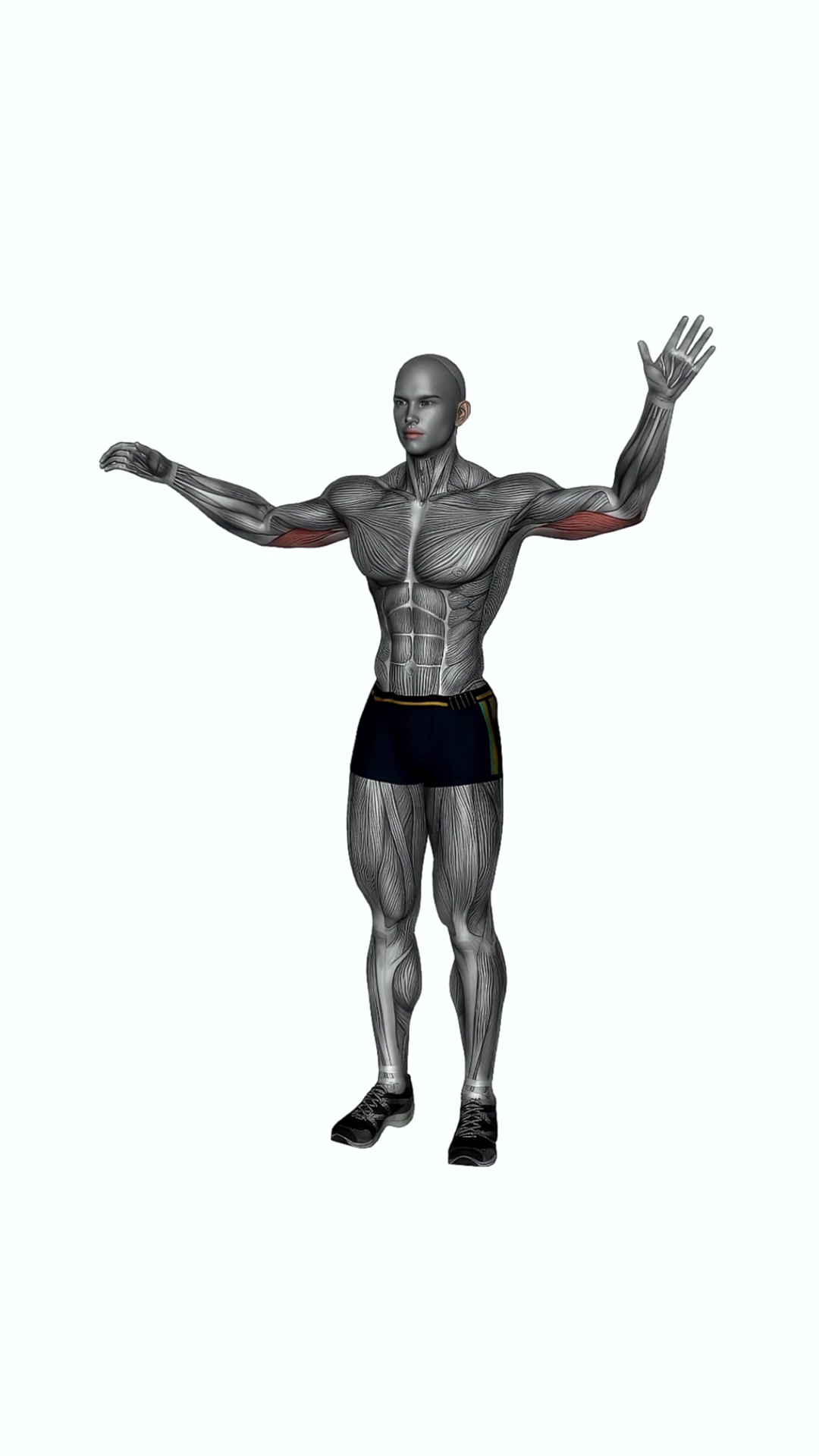 Overhead Triceps Stretch Side Angle