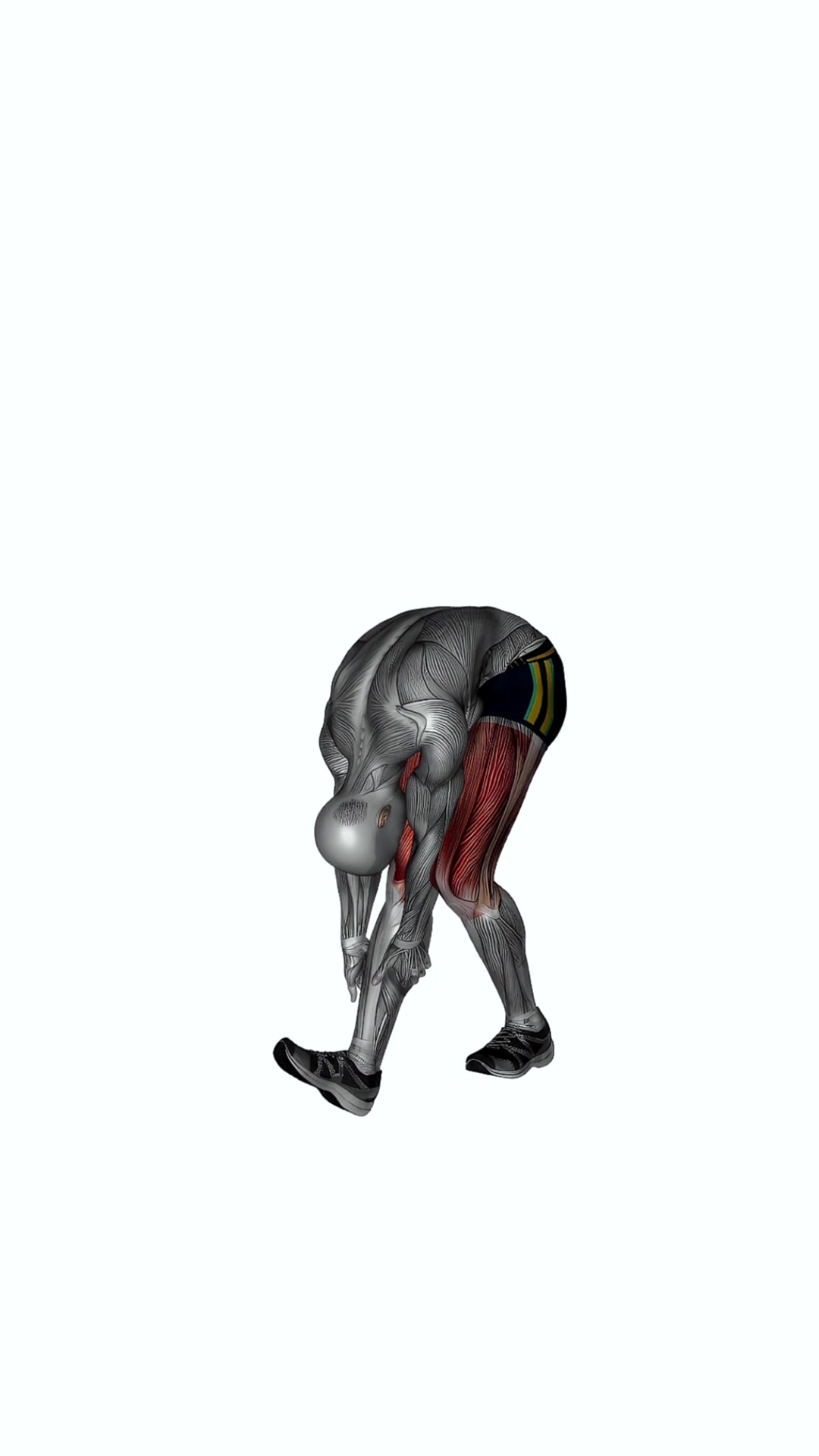 Runner Stretch