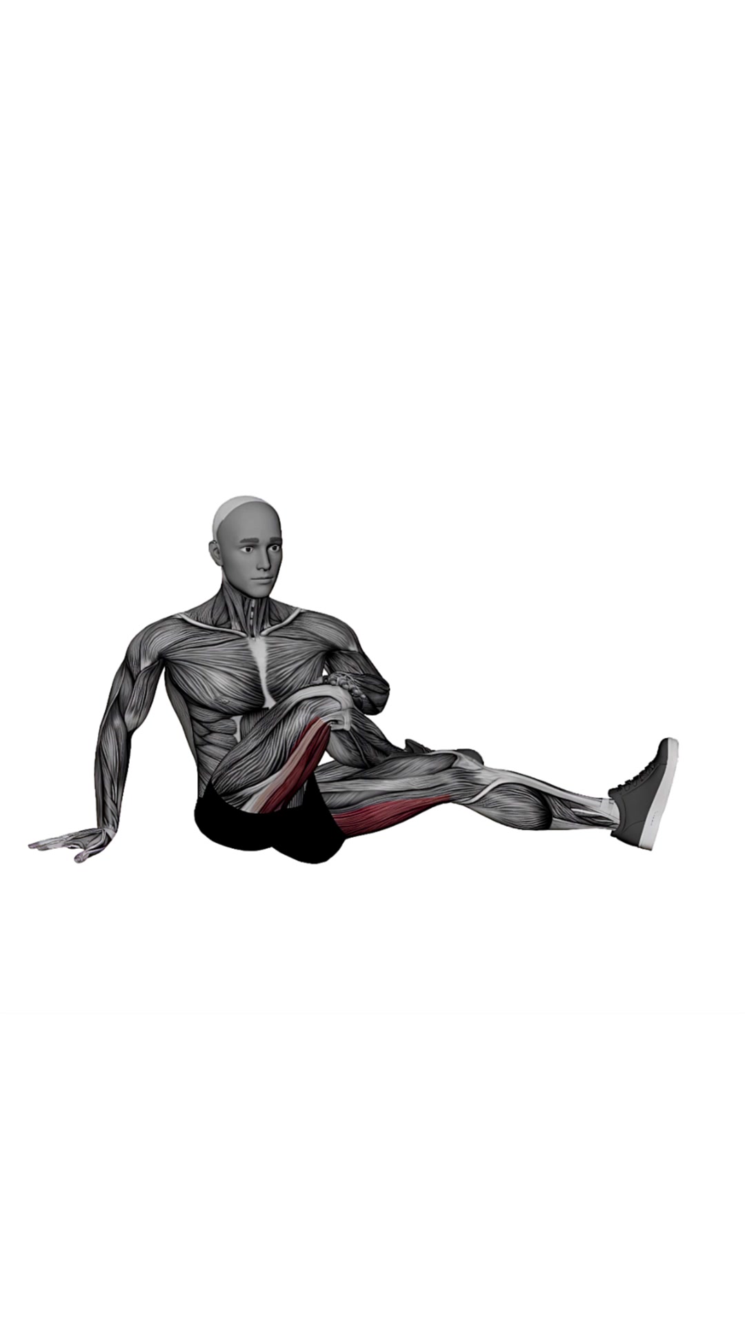 Seated Figure Four With Twist Glute Stretch