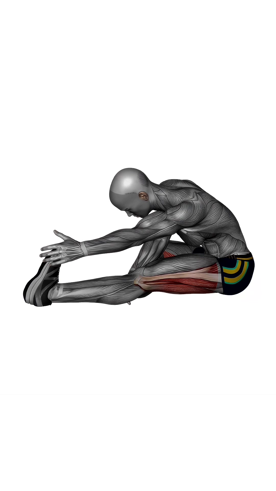 Seated Single Leg Hamstring Stretch