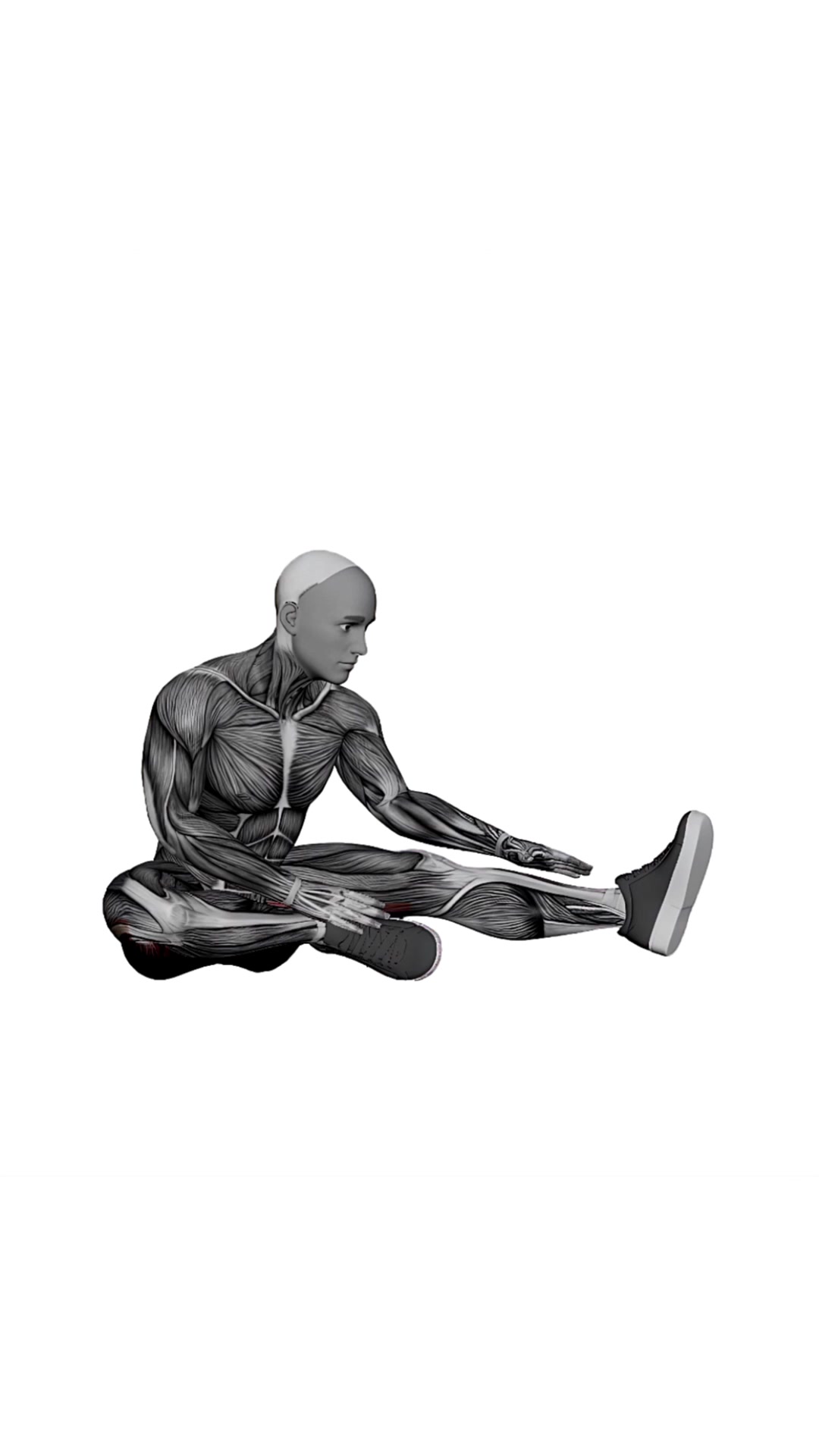 Seated Single Leg Toe Touch Hamstring Stretch
