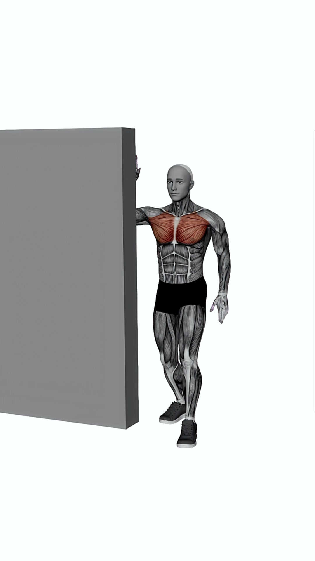 Side Chest Stretch On Wall