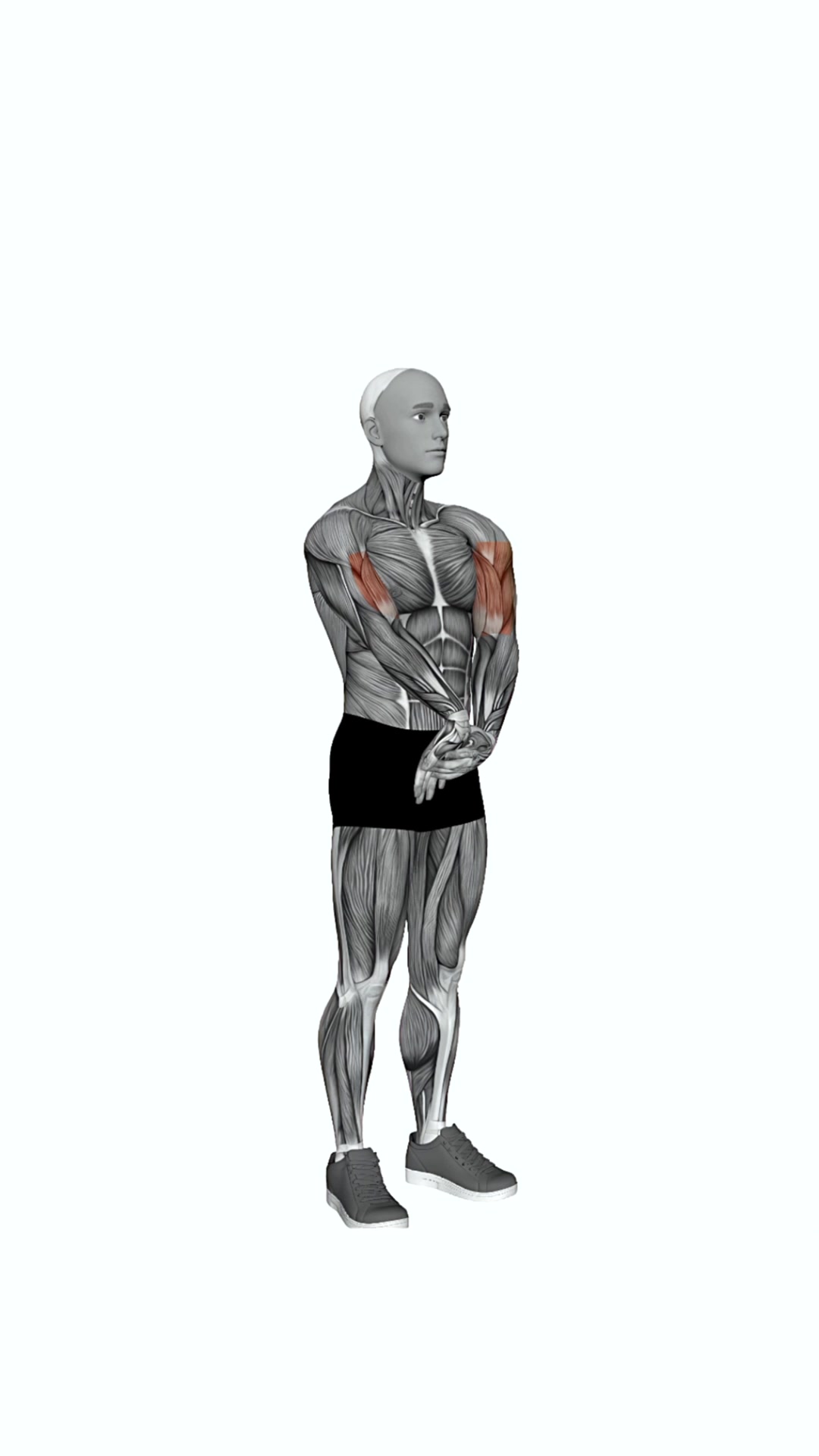 Single Arm Extended Pull Downwards Biceps Stretch