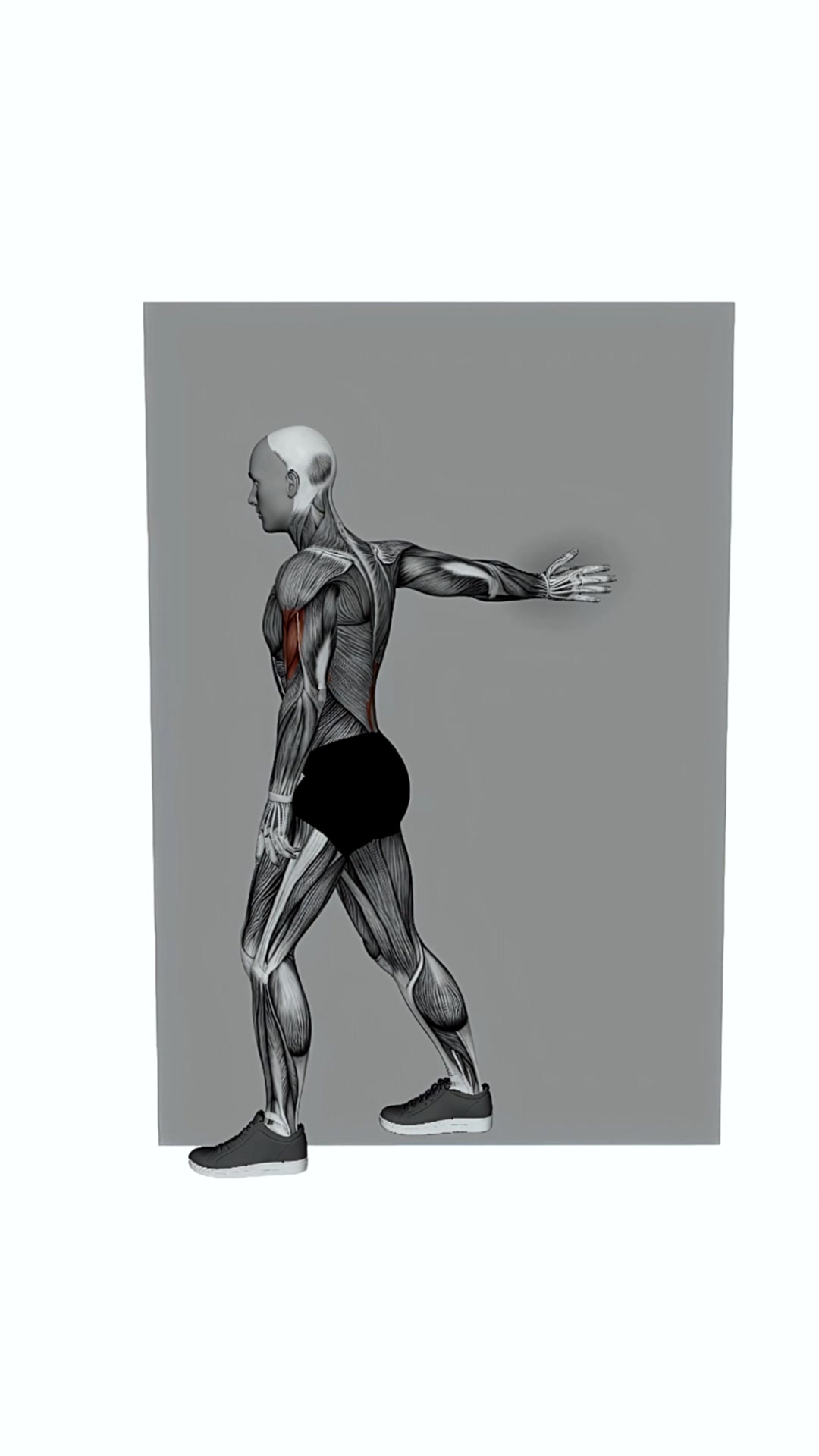Single Arm On Wall Side Biceps Stretch
