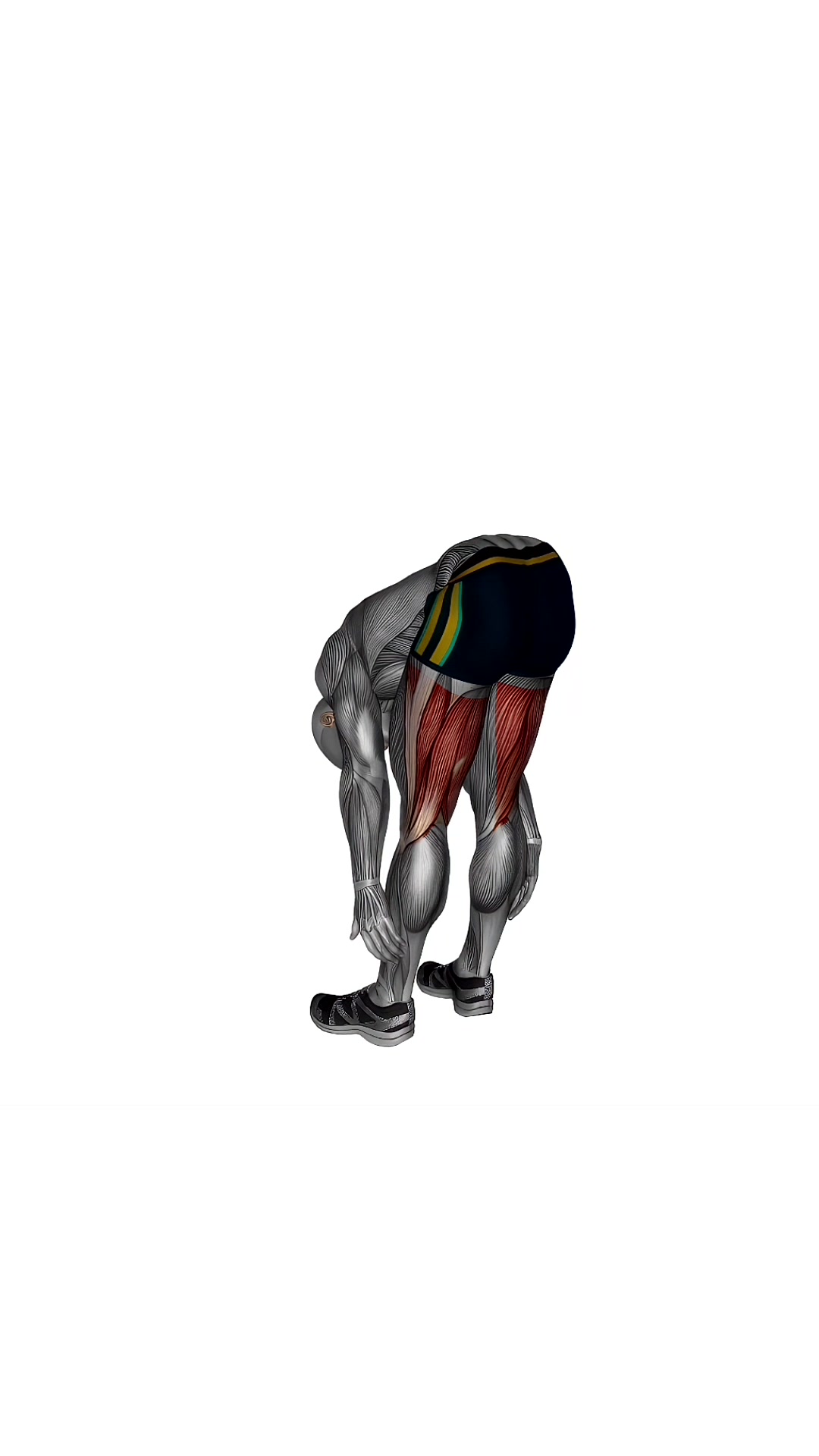 Standing Bow Hamstring Stretch
