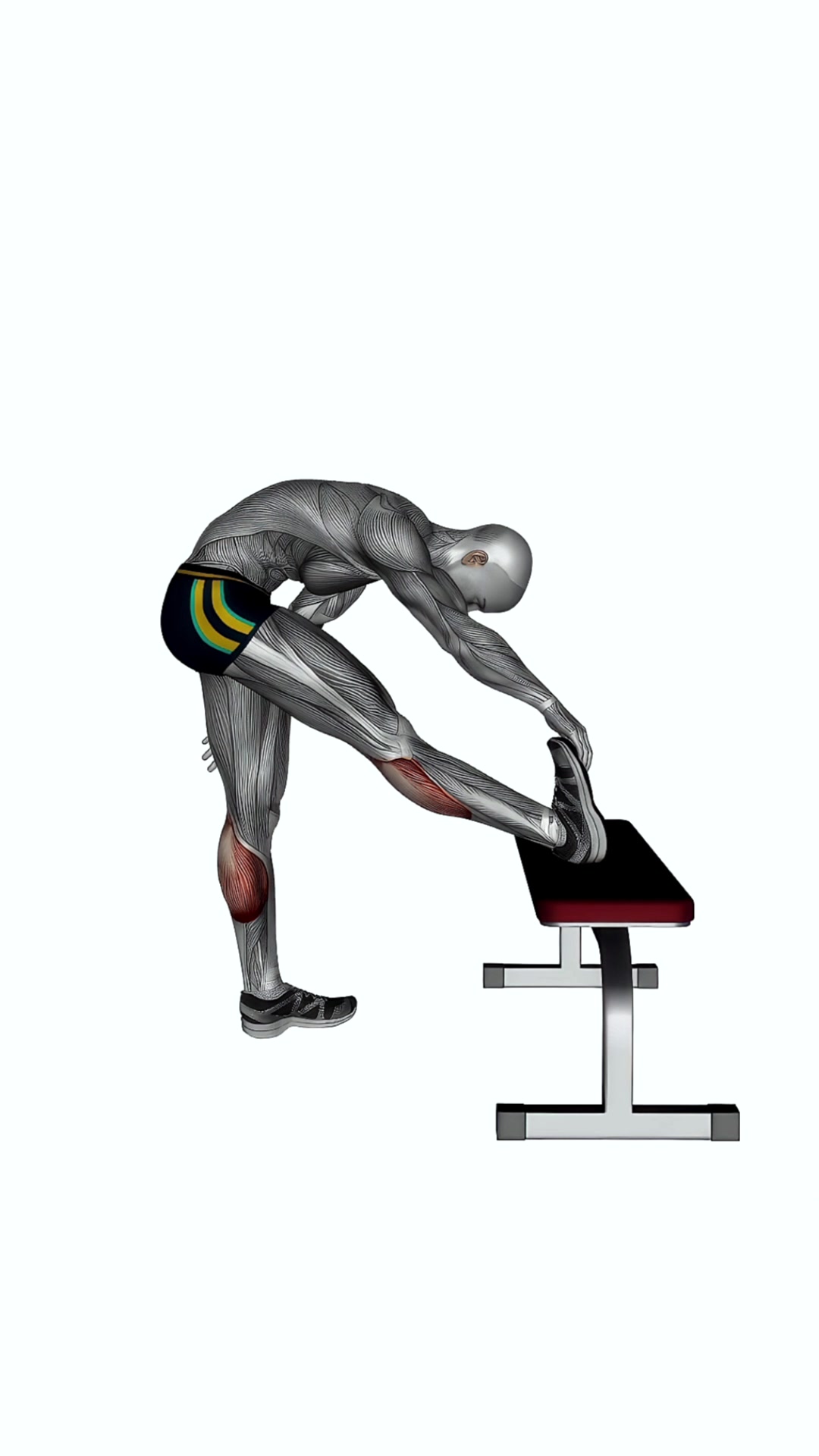 Standing Gastrocnemius Stretch