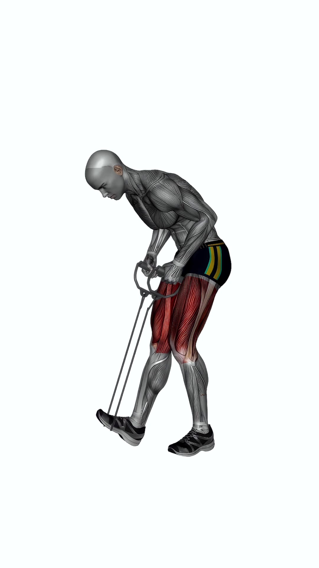 Standing Hamstring Calf Stretch With Resistance Band