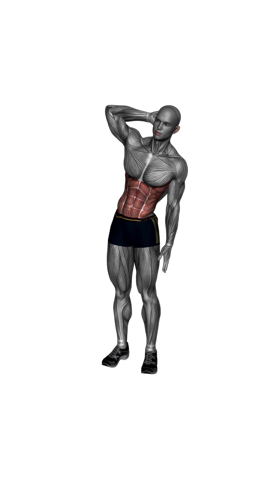 Standing Lateral Stretch