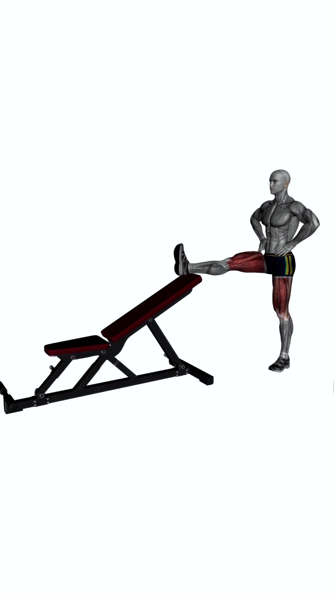 Standing Leg Elevated Hamstring Stretch