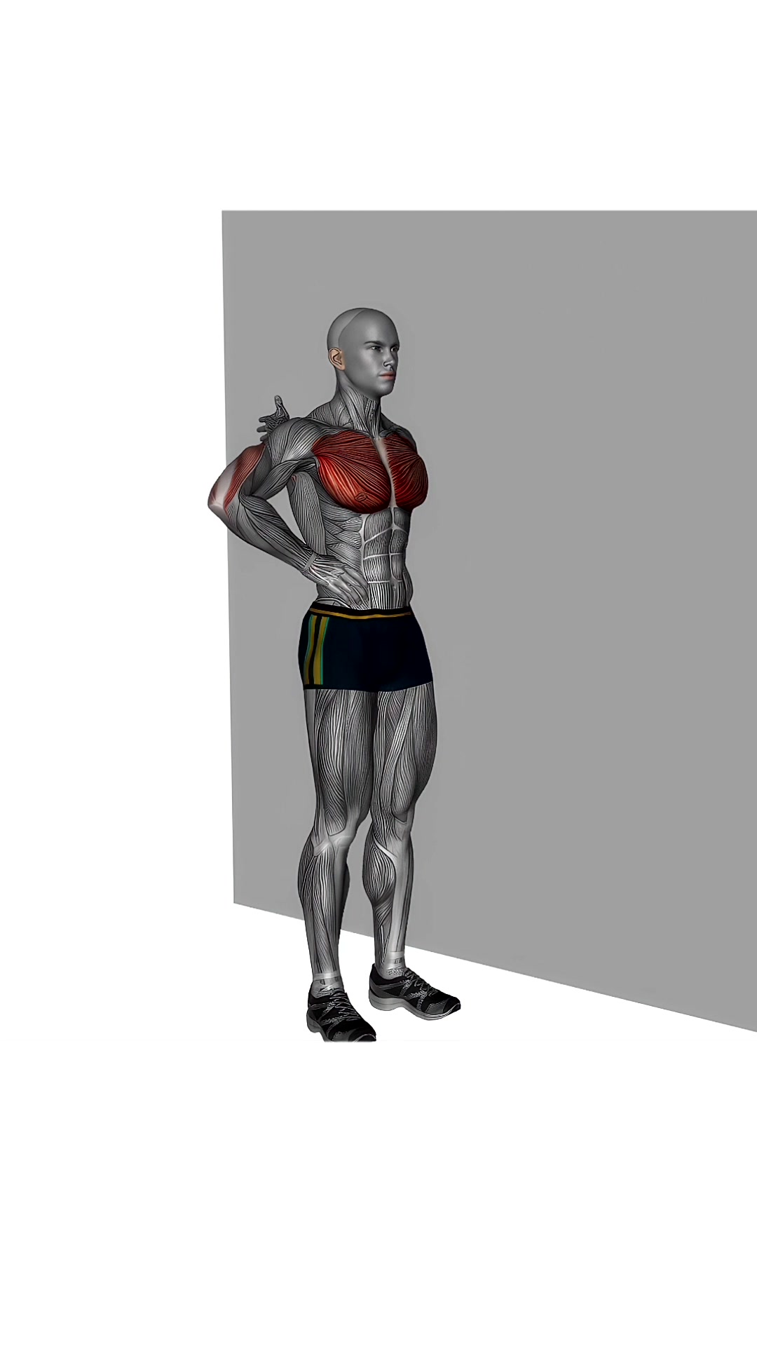 Standing One Arm Chest Stretch