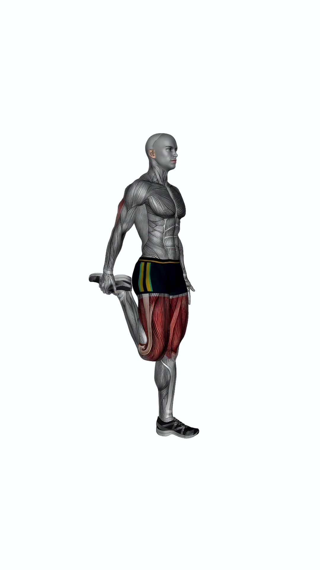 Standing Quadriceps Stretch Side Angle