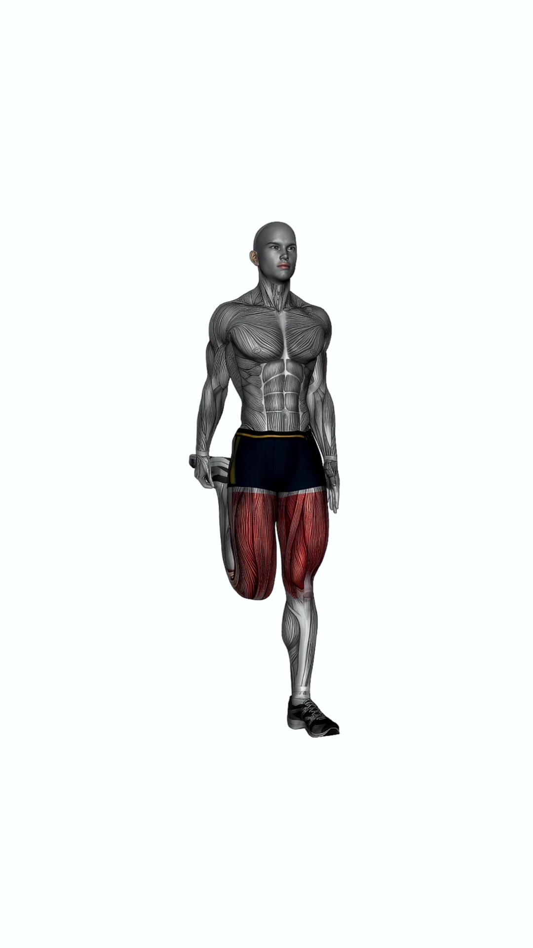 Standing Quadriceps Stretch