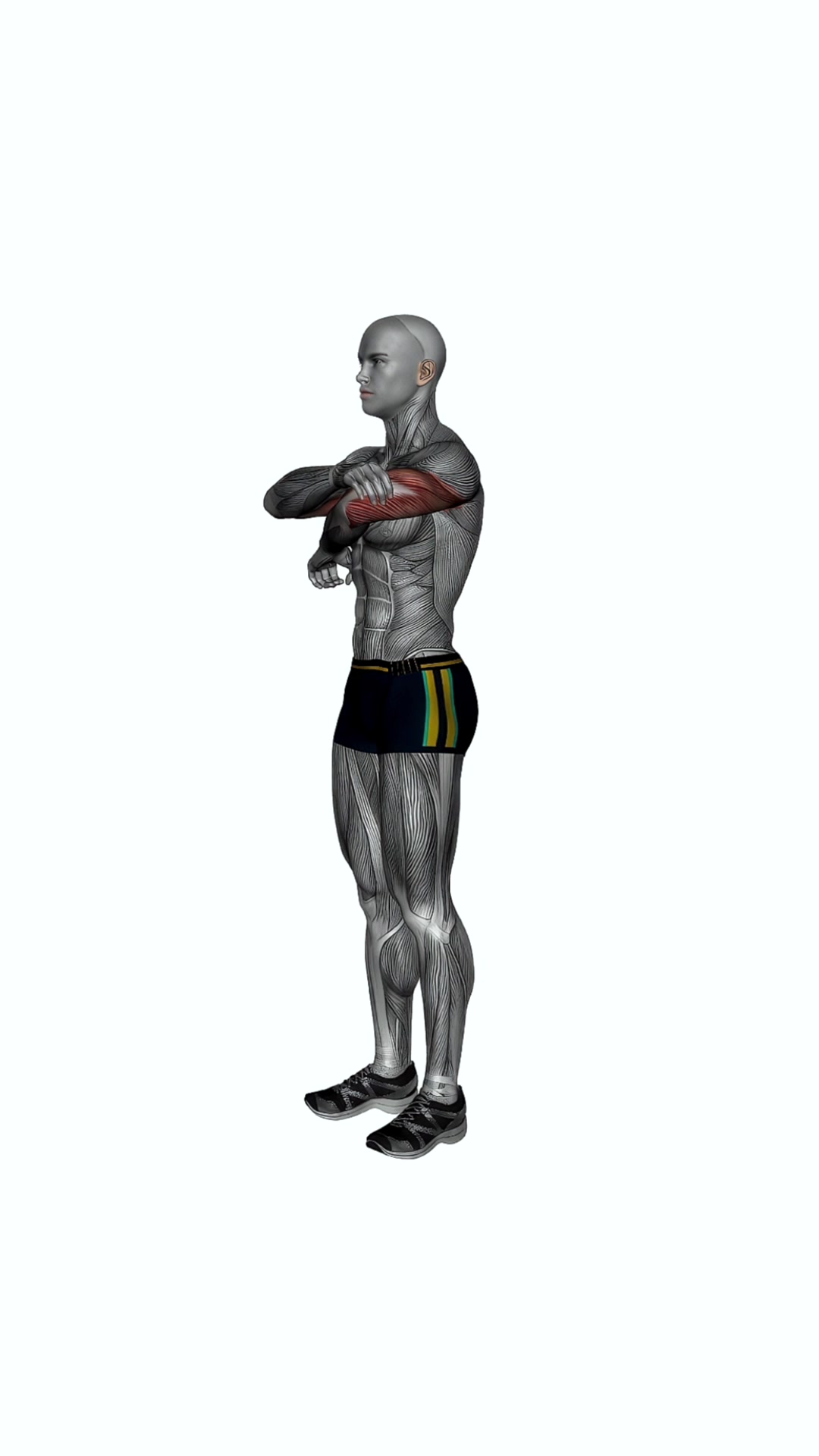 Triceps Light Stretch